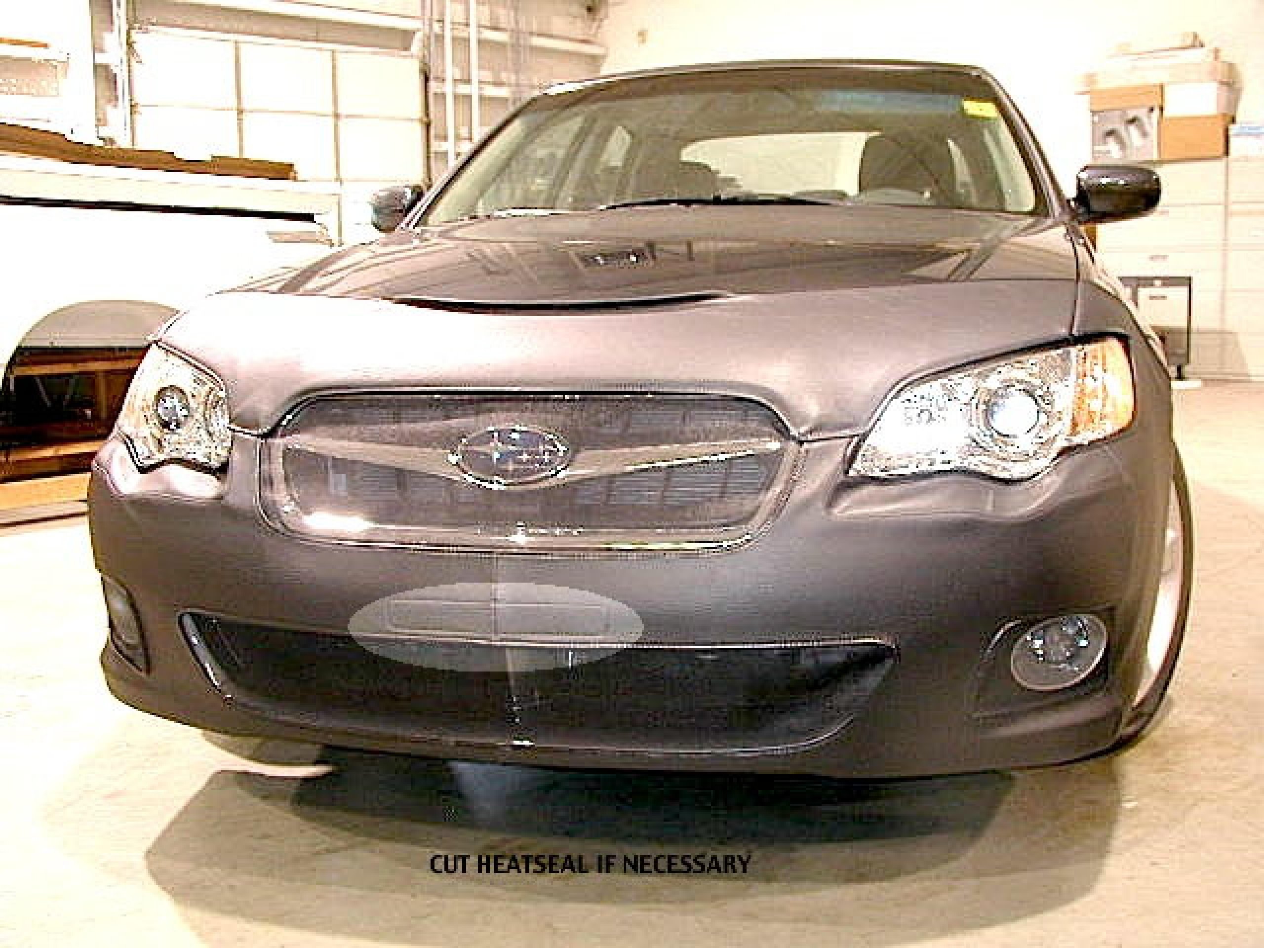 Lebra Front End Mask Cover Bra Fits 2013 2014 2015 Hyundai Santa Fe