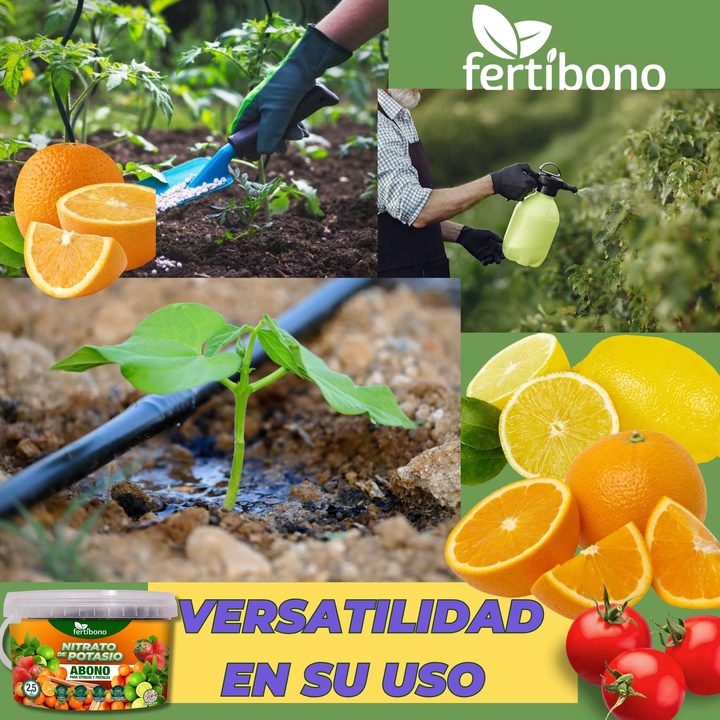 FERTIBONO Nitrato de potasio,Puro (KNO3) 13-00-46, Aumenta el Tamaño y la Calidad de la Fruta, los Azúcares y el Rendimiento de los Cítricos (2.5.0)