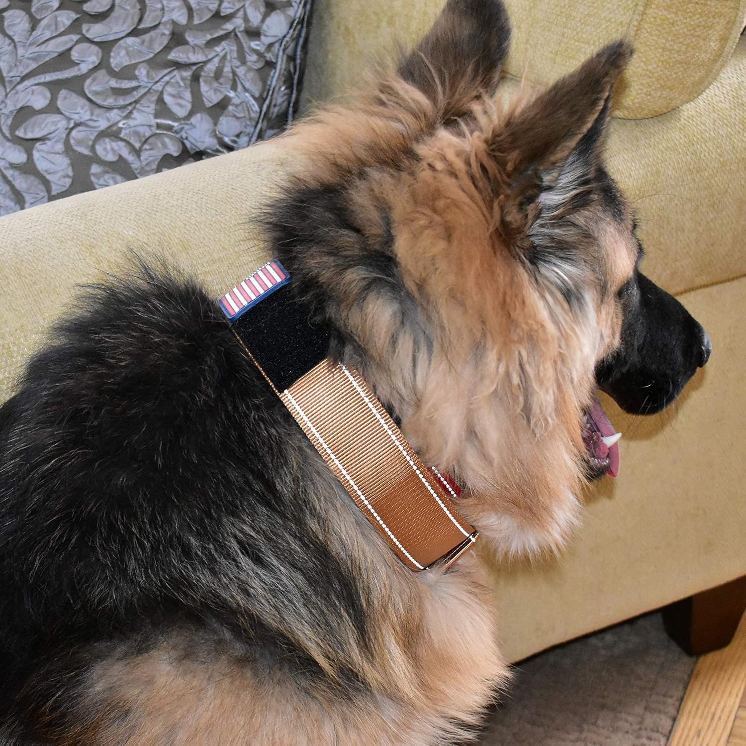 Tactical Dog Collar 2 Inch Wide Heavy Duty with Metal 2-Pin Belt Buckle for Medium, Large & XL Dogs, Thick Military-Style K9 Collar, Reflective, with Name Plate Area, USA Flag Patch, Strong & Durable