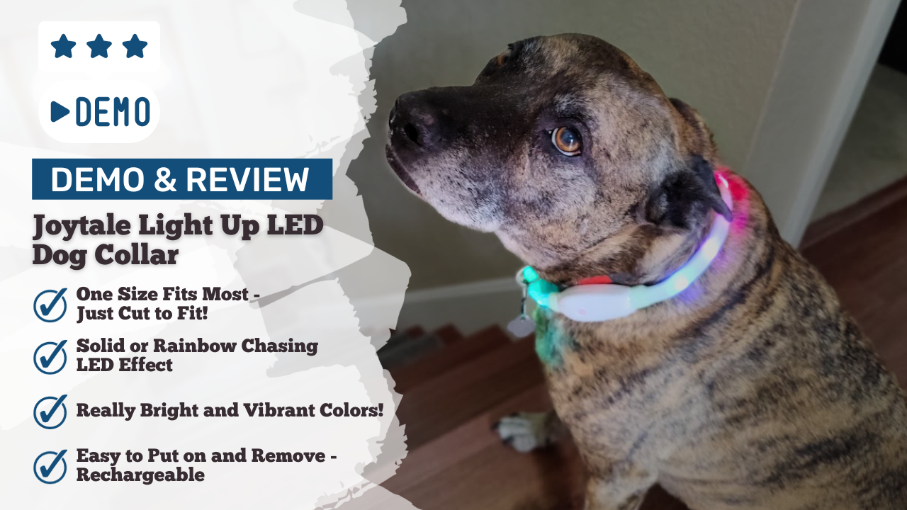 How to Shorten Led Dog Collar: Easy Steps for a Perfect Fit