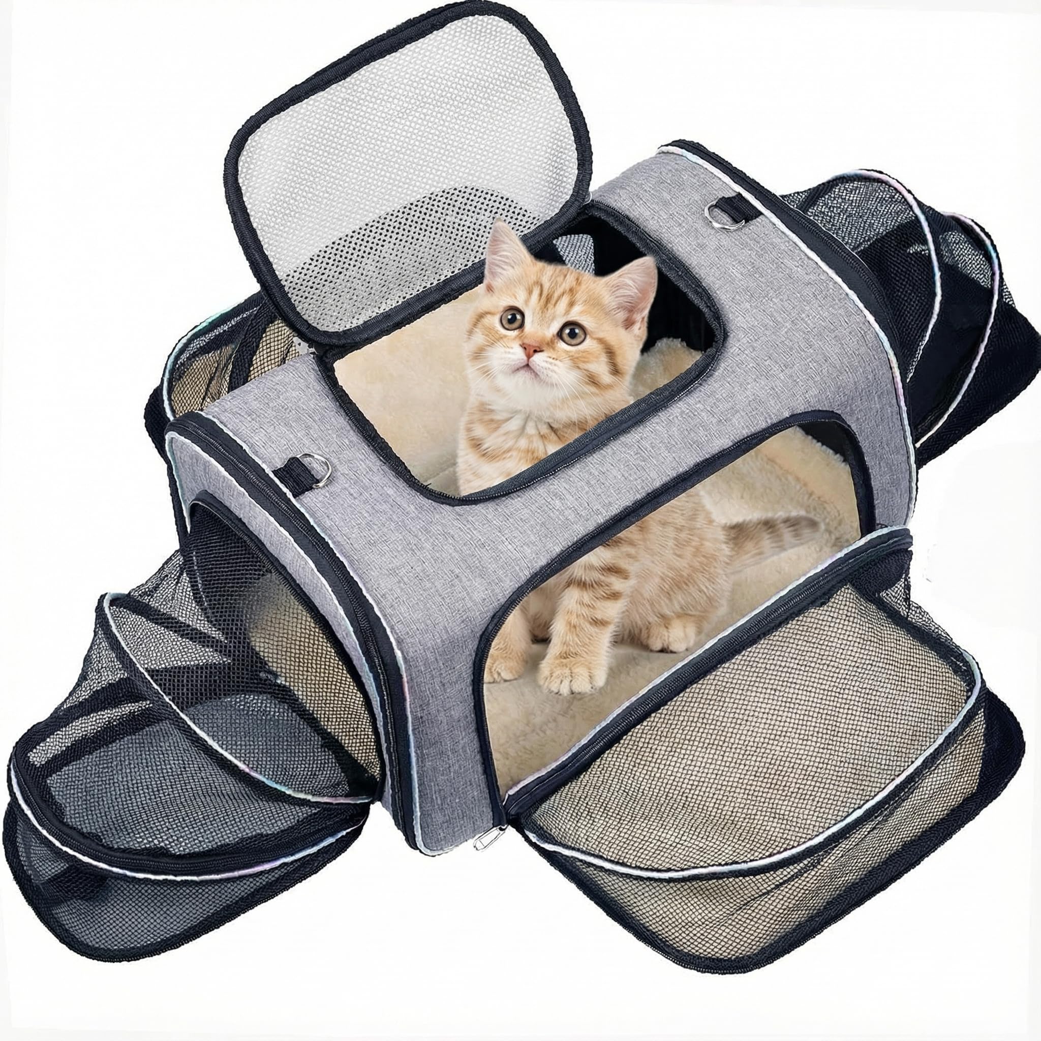 Borsa da Trasporto per Gatti - Trasportino Rigido Omologato IATA per Gatti a 4 Lati - Borsa da Viaggio per Gatti Espandibile per Viaggi in Aereo