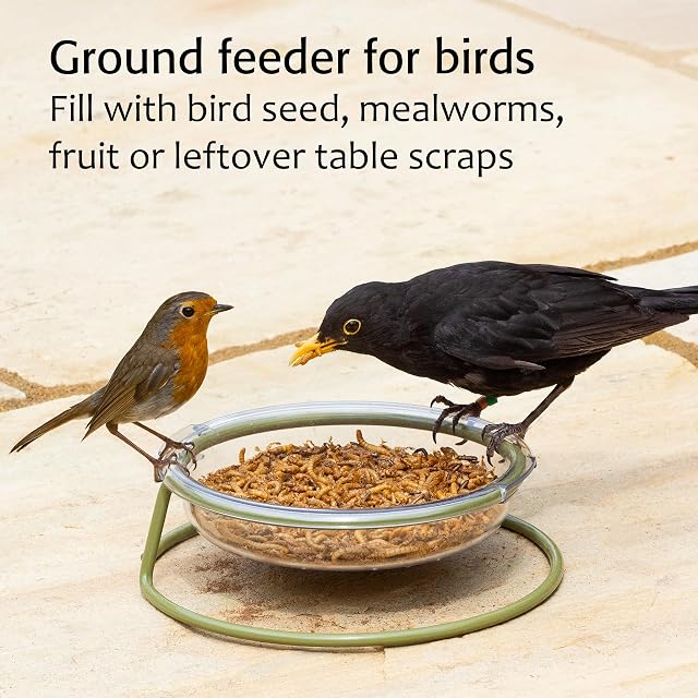 Foto 5 de 7 de Jacobi Jayne I Love Robins - Comedero para pájaros con Comida para petirrojos y Gusanos de la comina