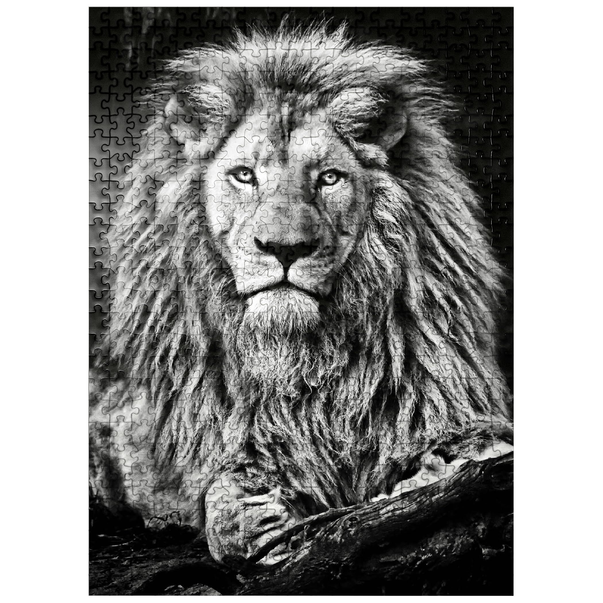 MyPuzzle 'Fantastic Lion' 500 Piece Jigsaw Puzzle - Premium Quality, Made In USA