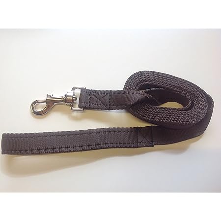 5 meter dog training lead Clearance