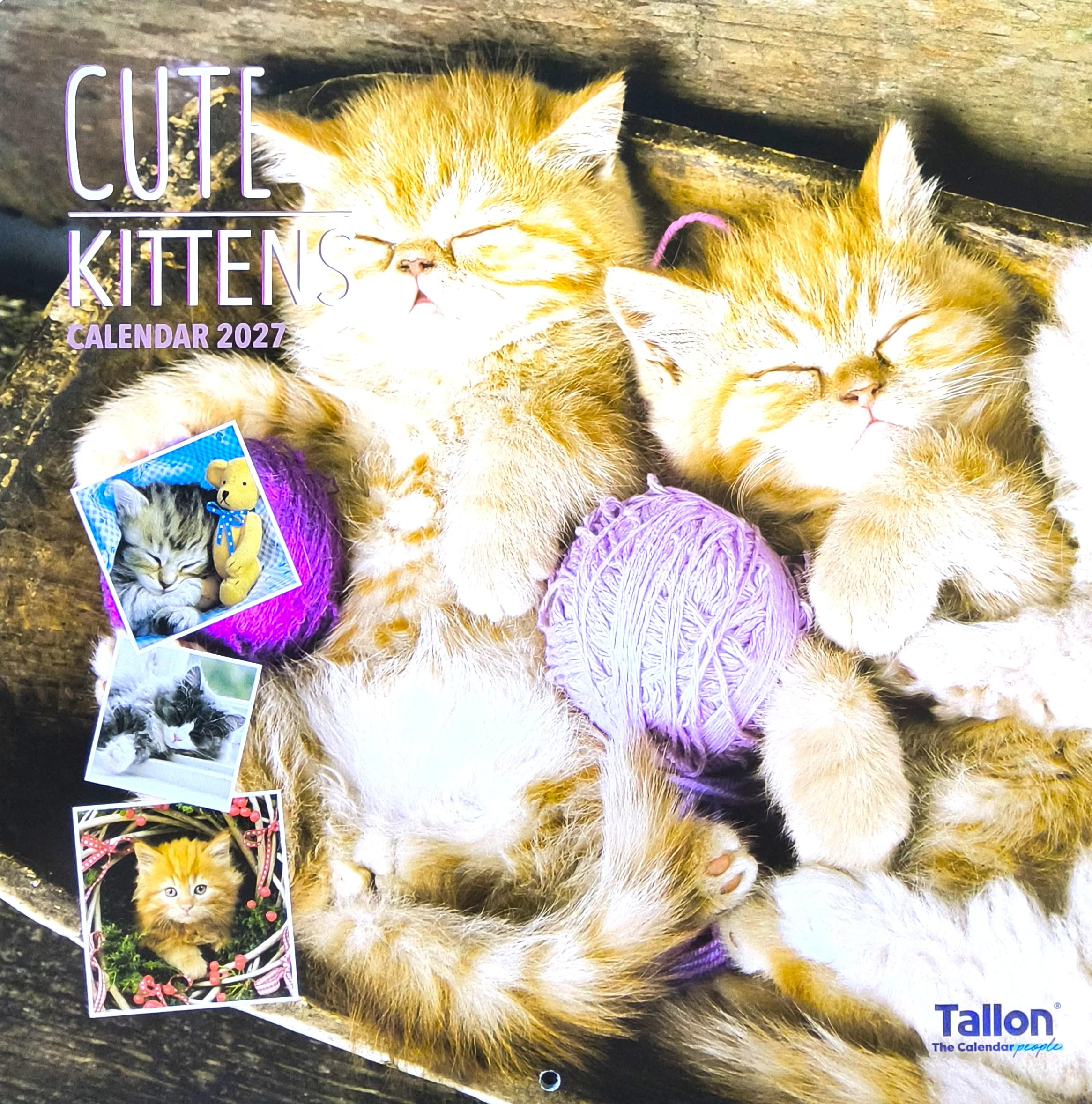 2027 Kittens Square Wall Calendar 16 Months Cats Cute Ginger Black White