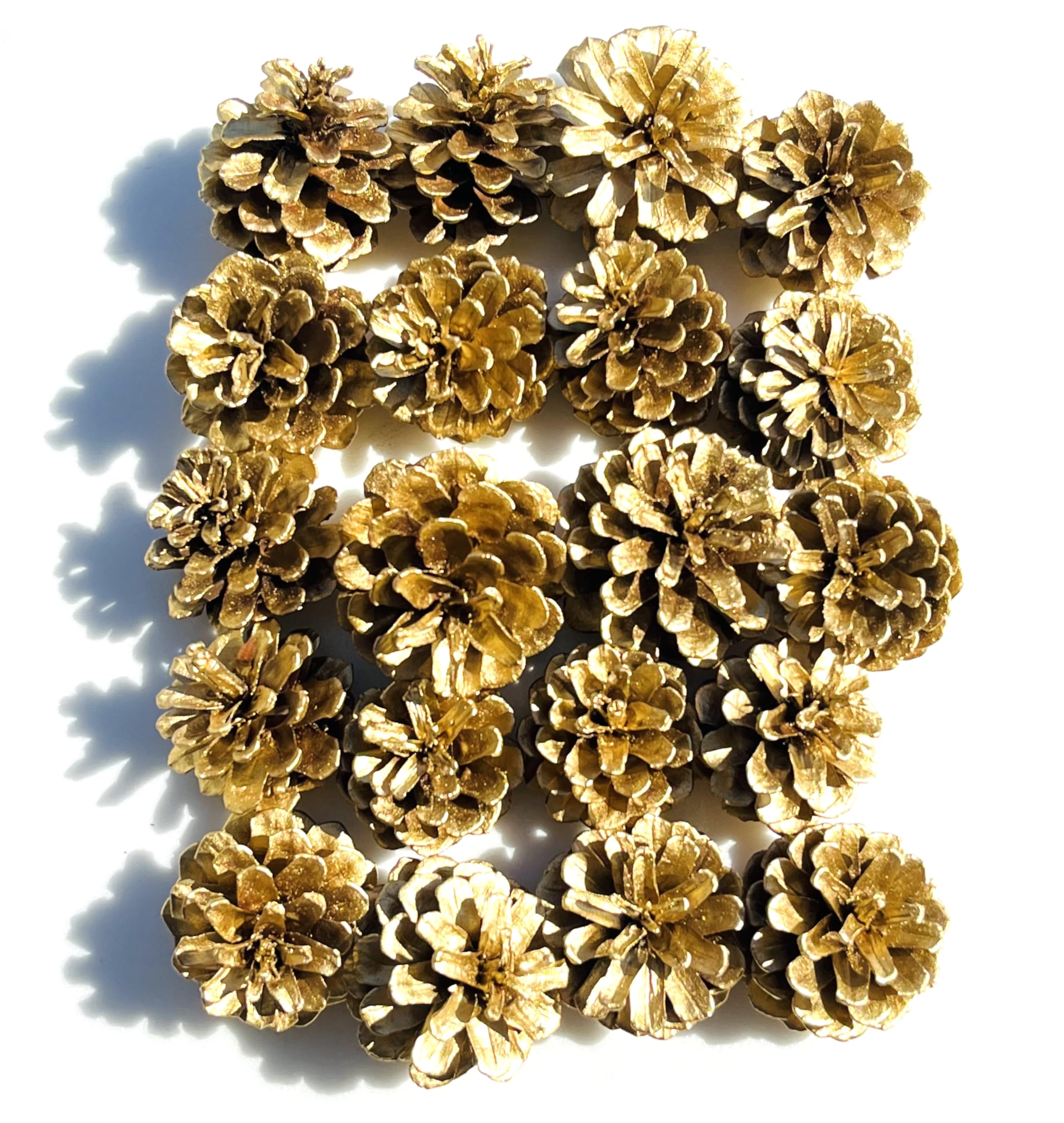 Amazon.co.jp: 純国産 松ぼっくり 金色 約4～6㎝ 約20個 松かさ