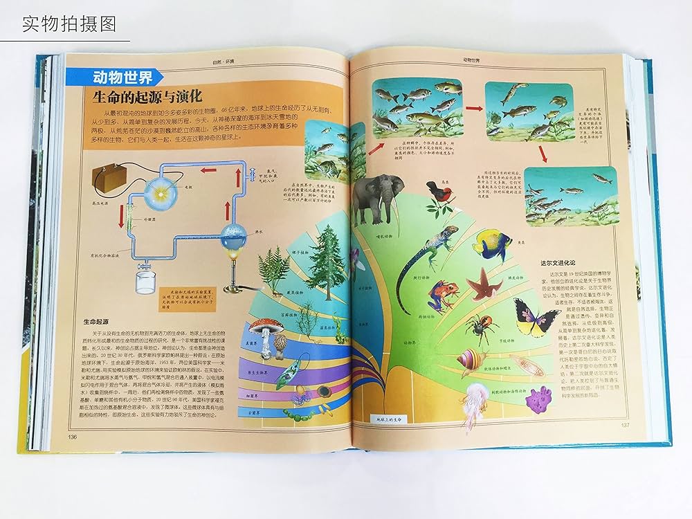 中国少年儿童百科全书 全4巻セット 中国少年儿童百科全书 全4巻セット 中国少年儿童百科全书 全4