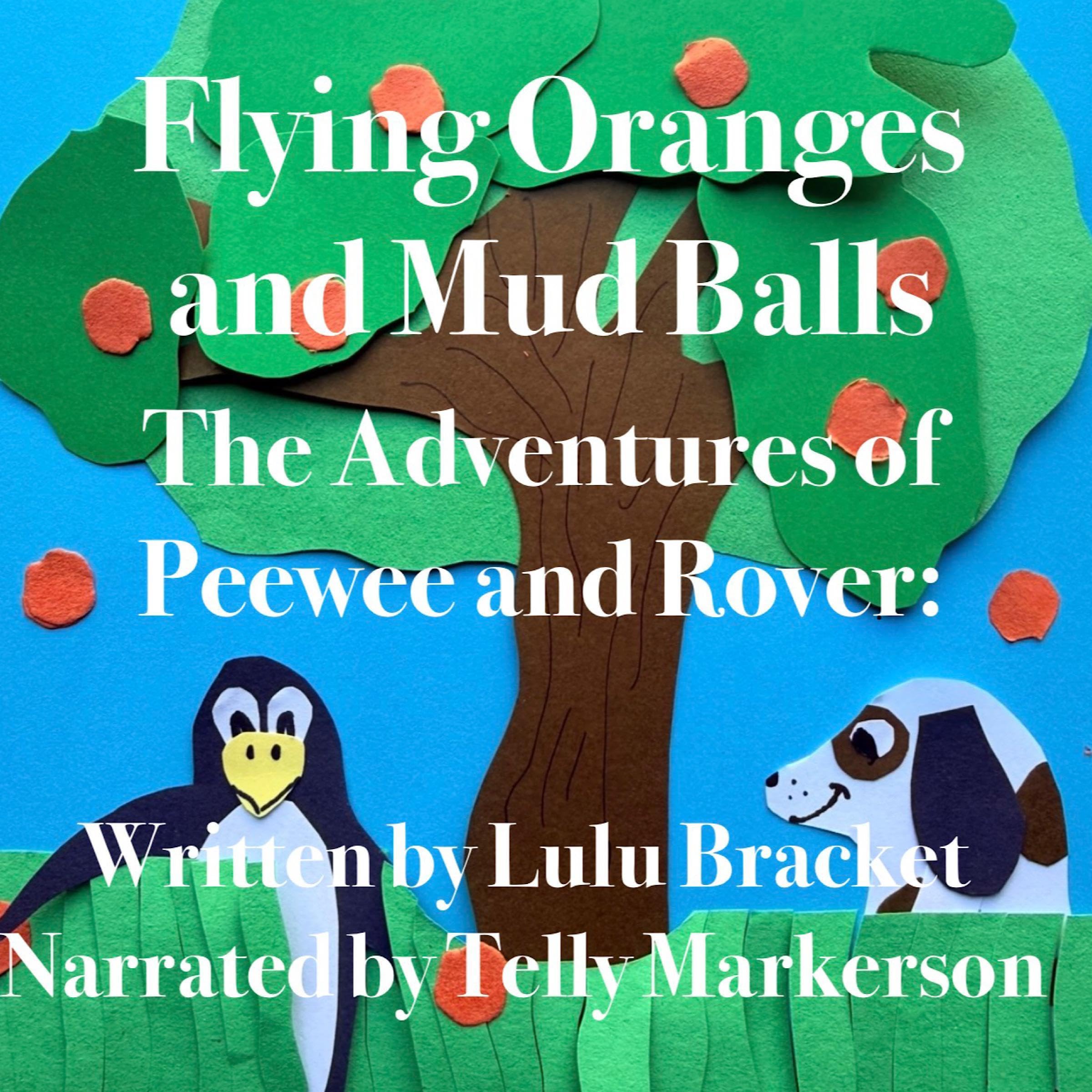 Cover art for Flying Oranges and Mud Balls