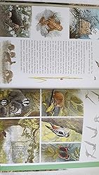 Der geheime Garten Aus d. Engl. v. Michael Stehle Frances