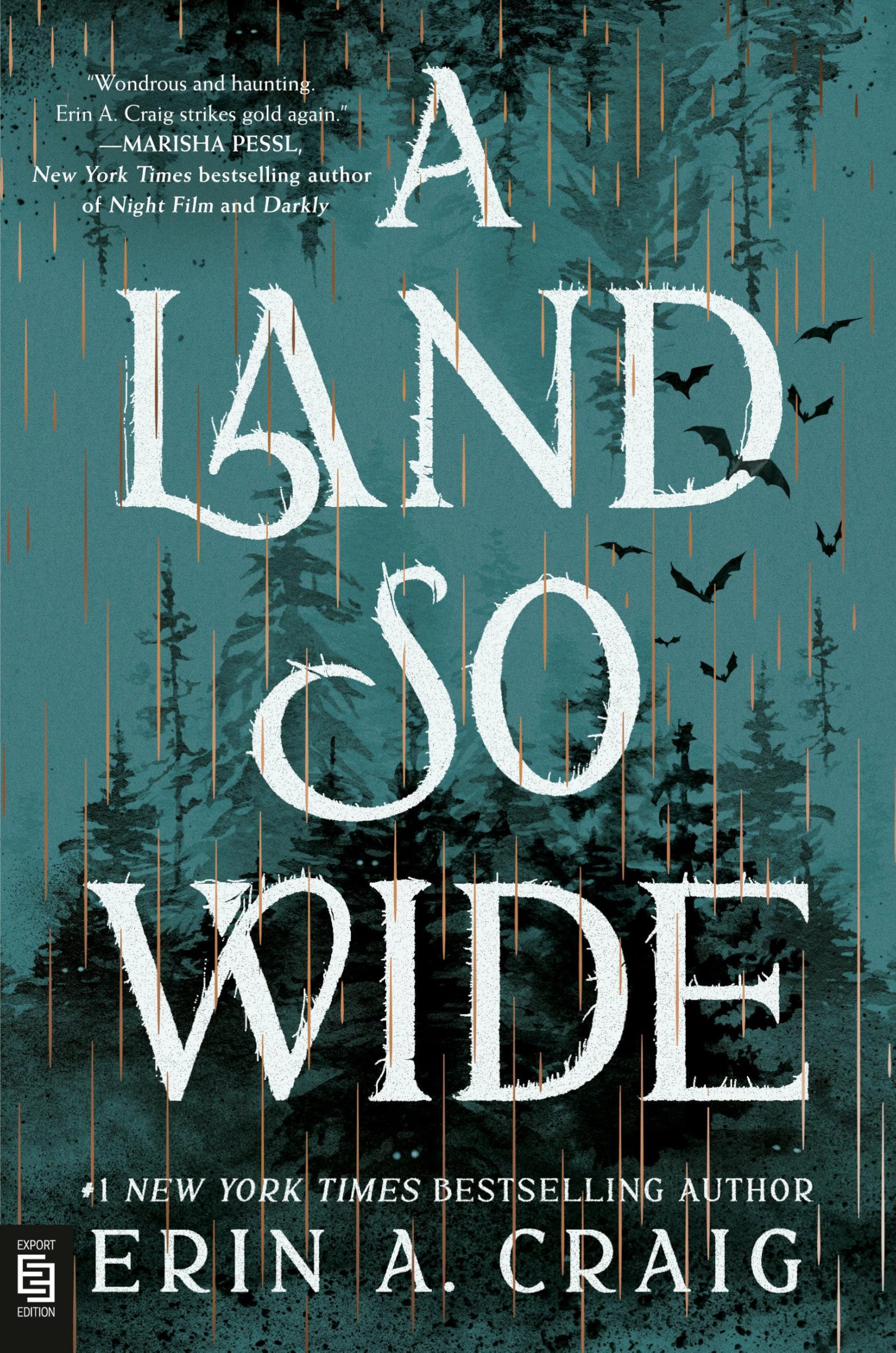 A Land So Wide: A Novel