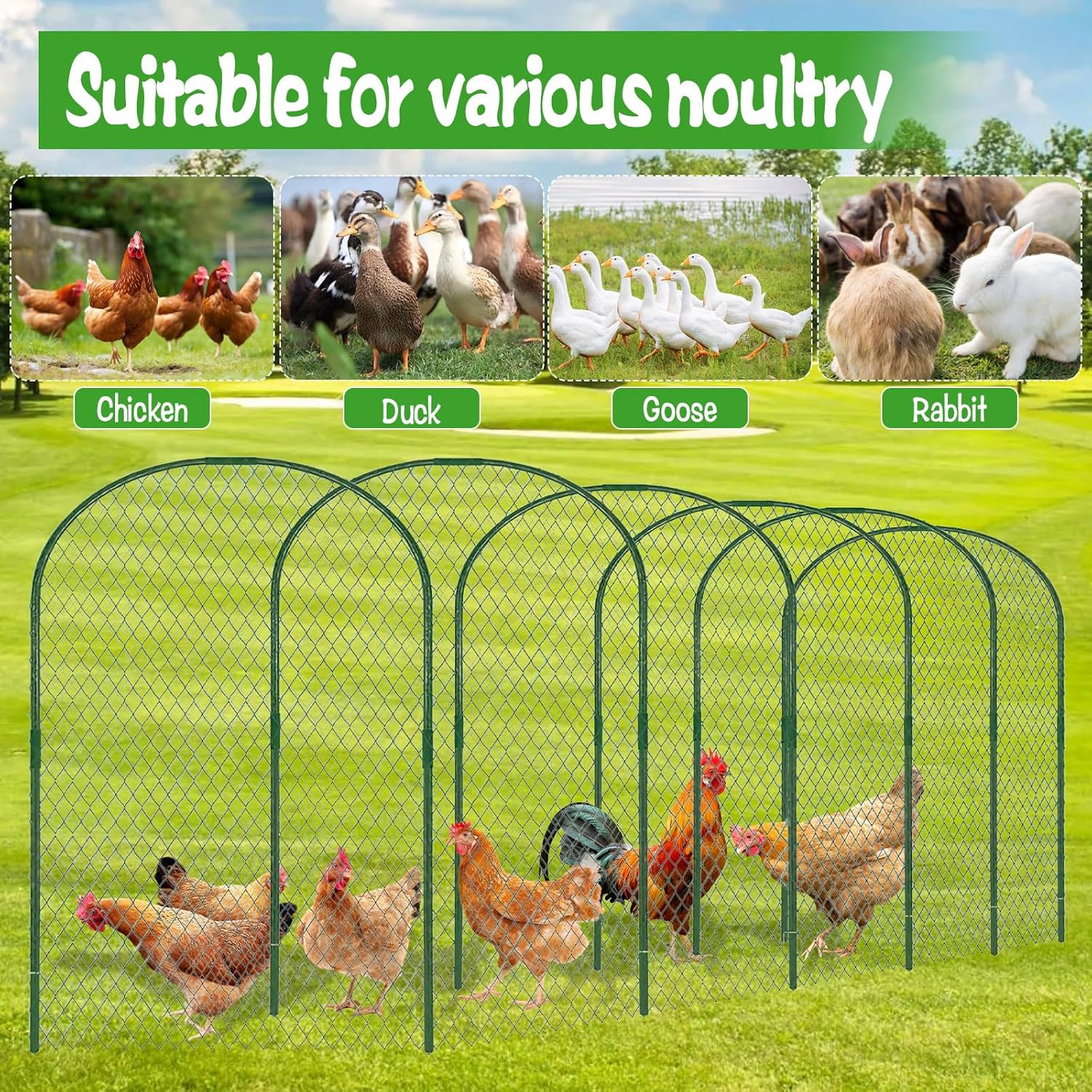2.1 x 32.8 FT Portable Chicken Tunnel - Outside Chicken Coop Tunnel, Quick Install Yard Coop for Chicken, Ducks, Rabbits & More