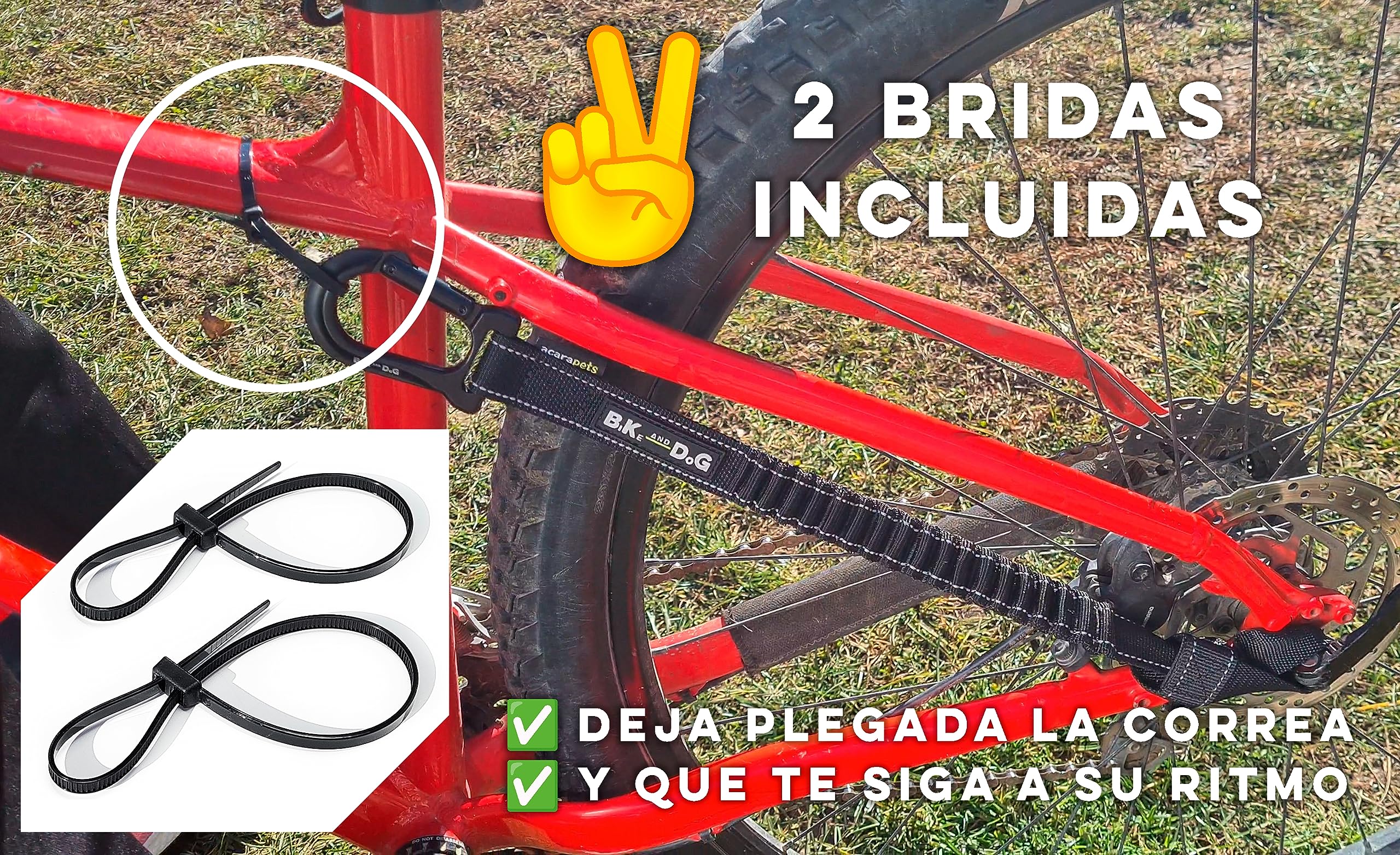 BIKE AND DOG - Correa de Perro para Bicicleta, colocación sin Herramientas en el Punto más Seguro, Incluye 2 Bridas Especiales para Bicicleta. Patentado. (Negro)
