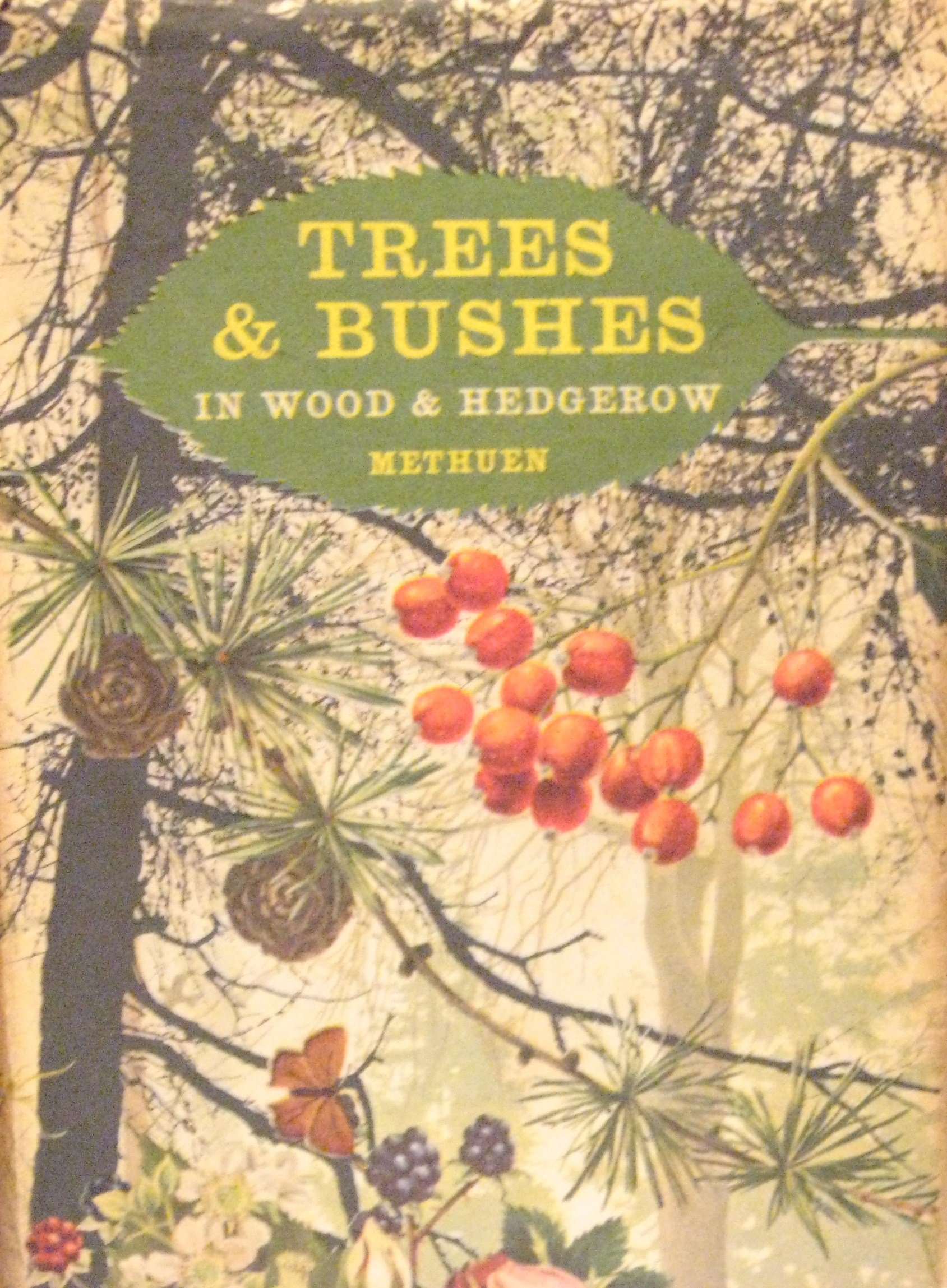 Buy Trees and Bushes in Wood and Hedgerow — BookShops.in