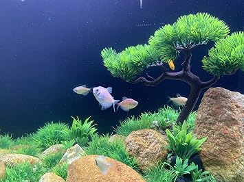 Artificial Aquarium Green Water Plants Tree Set 25 Pcs, Fish Tank Aquarium Decorations (Set 1)