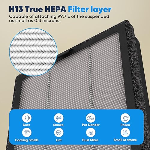 Miniatura 4 de Filtro HEPA verdadero de reemplazo del purificador de aire (P360)