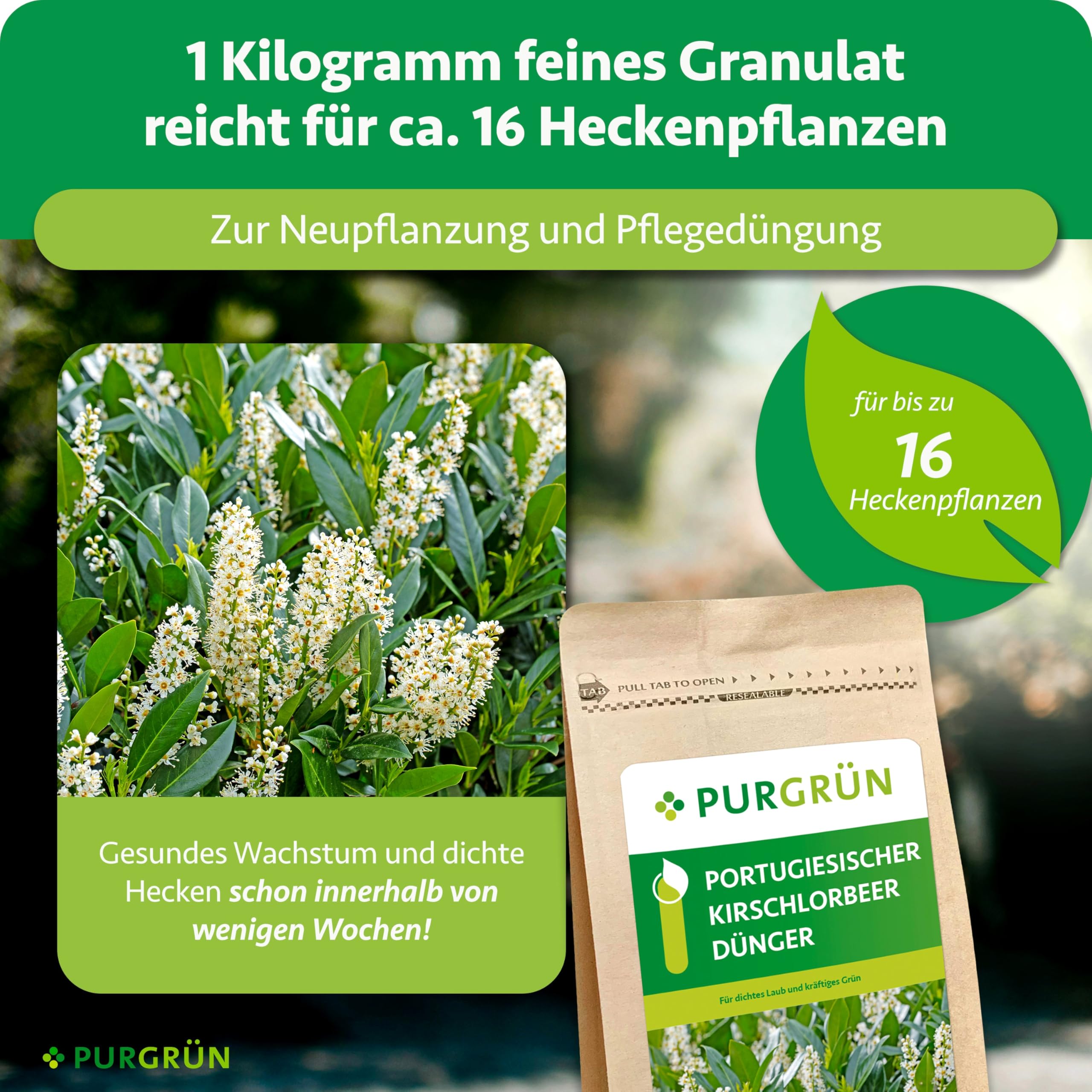 Portugiesischer-Kirschlorbeer-Dünger 1 kg – Extra Magnesium für sattgrüne Blätter – Fördert schnelles Wachstum für eine dichte Hecke – Feines Krümelgranulat für ca. 30 Heckenpflanzen