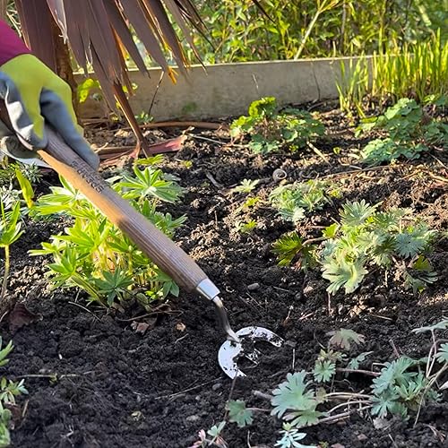 Miniatura 4 de Spear & Jackson 5110WF Tenedor tradicional de mango largo, 12"