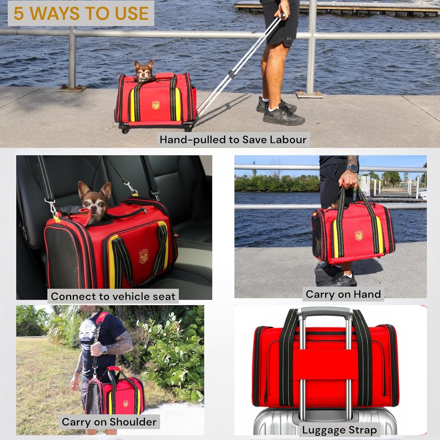 MY LEGACY Expandable Pet Carrier with Wheels & Matching Leash – Airline Compliant Cat & Small Dog Carrier, Fits Under Most Airplane Seats for In-Cabin Travel, Soft-Sided Collapsible, Pets Up to 18 lbs