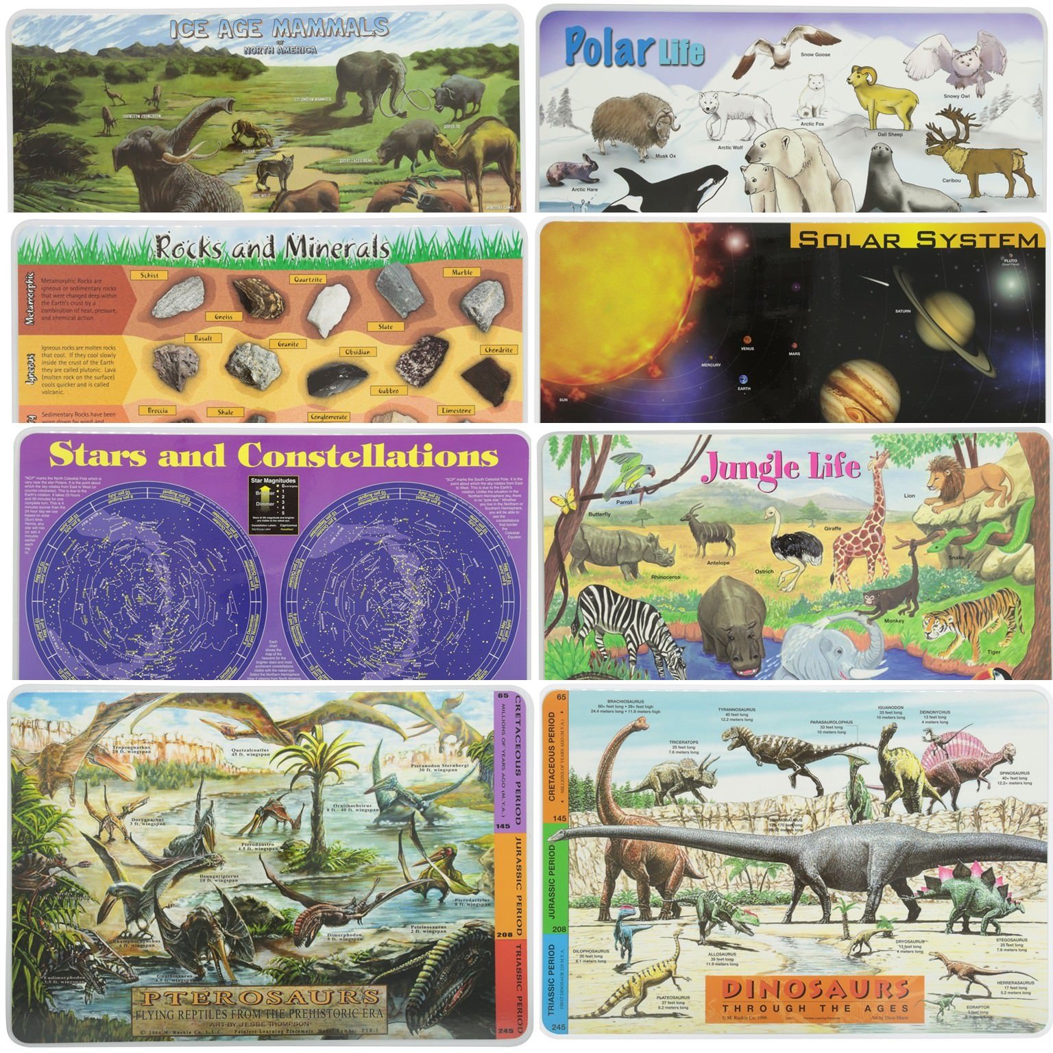 Painless Learning Place mats