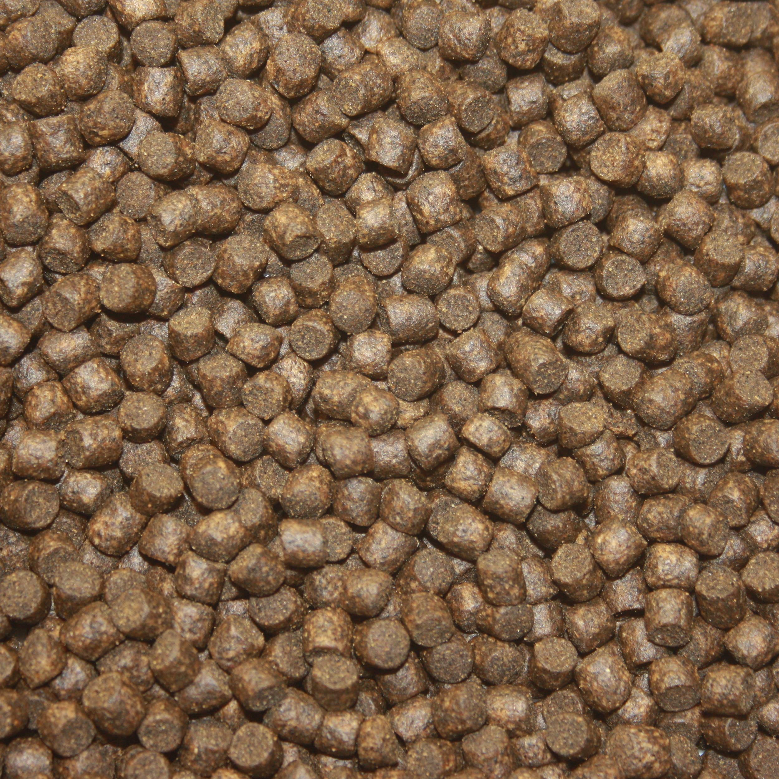 Koifutter für den Herbst, Tomodachi Herbstfutter für Koi, langsam sinkend und energiereich, 10kg