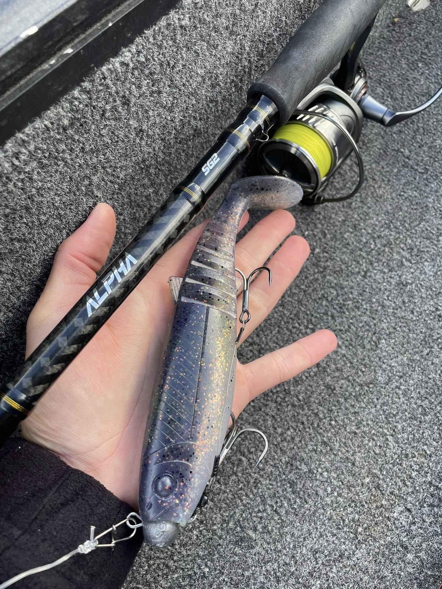 Savage Gear Alpha SG2 Jerkbait Baitcasting Canne à Lancer Alpha | Canne à Lancer pour Poissons prédateurs d'eau Douce, s et Gros Poissons | Blank en Carbone 24+30T | Options Multiples