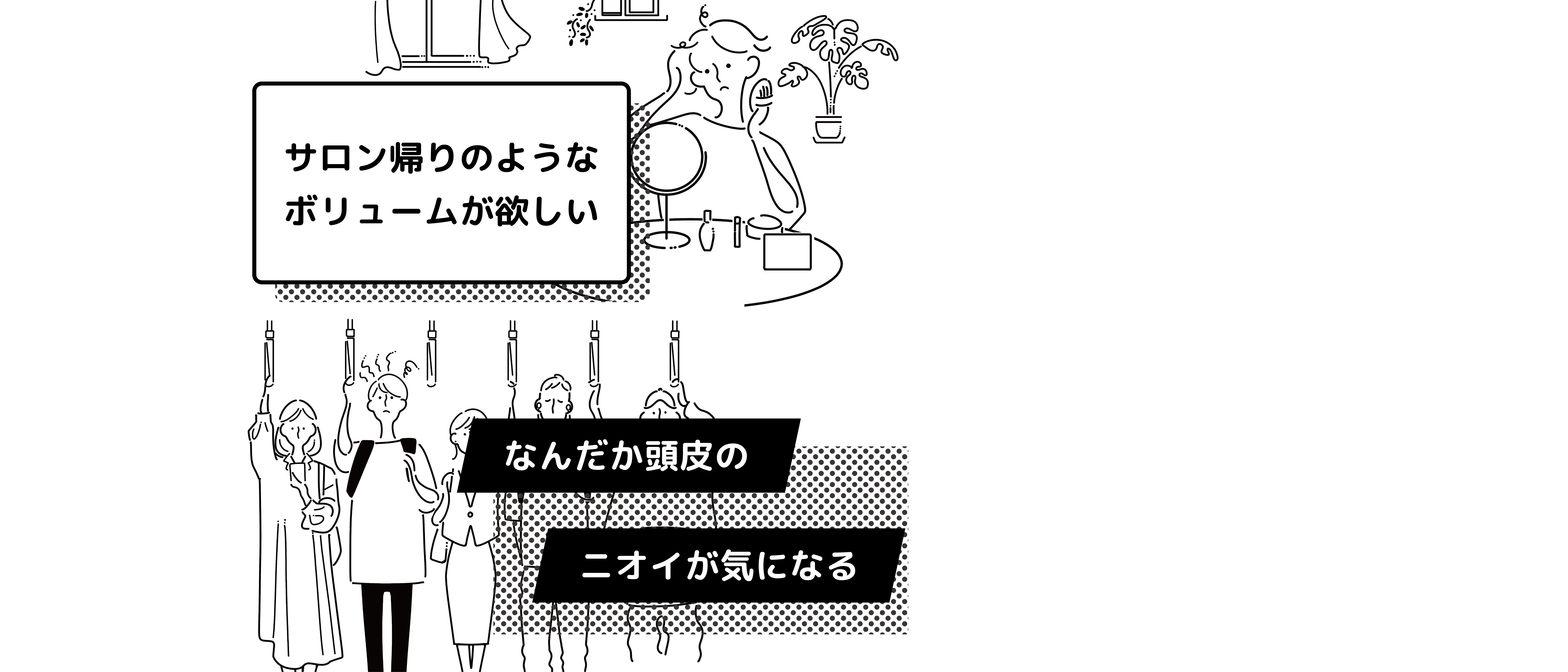 レキシリス ブラックフレグランス　まとめ買い　タイムセール レキシリス ブラックフレグランス まとめ買い タイムセール