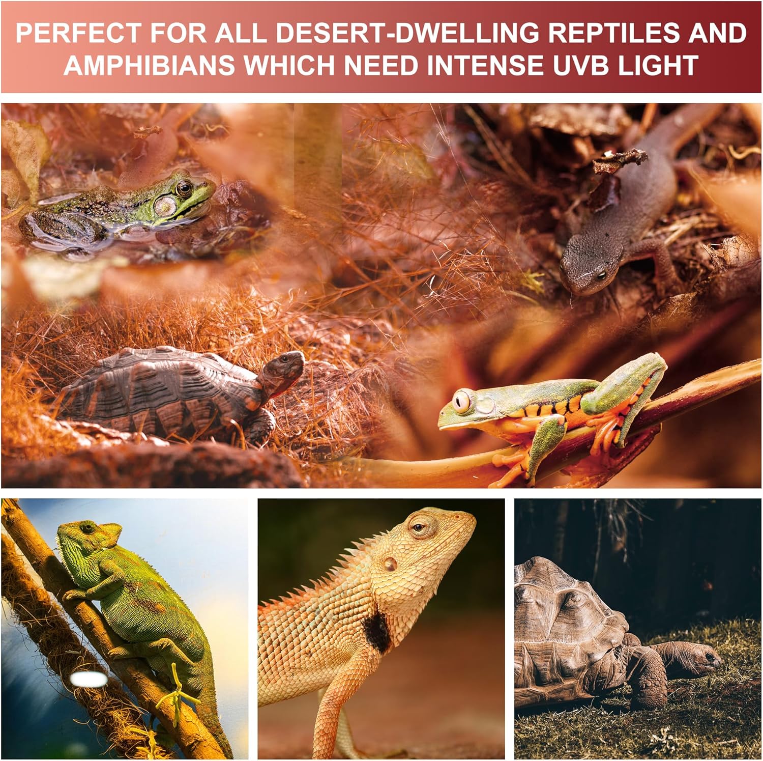 UVB Reptile Light Bulb 15.0, 23W UV Spiral Compact Florescent Terrarium Lamp Ideal for Desert Reptiles & Amphibians Frogs Tortoises Toads Chameleons - 2 Pack - view 3