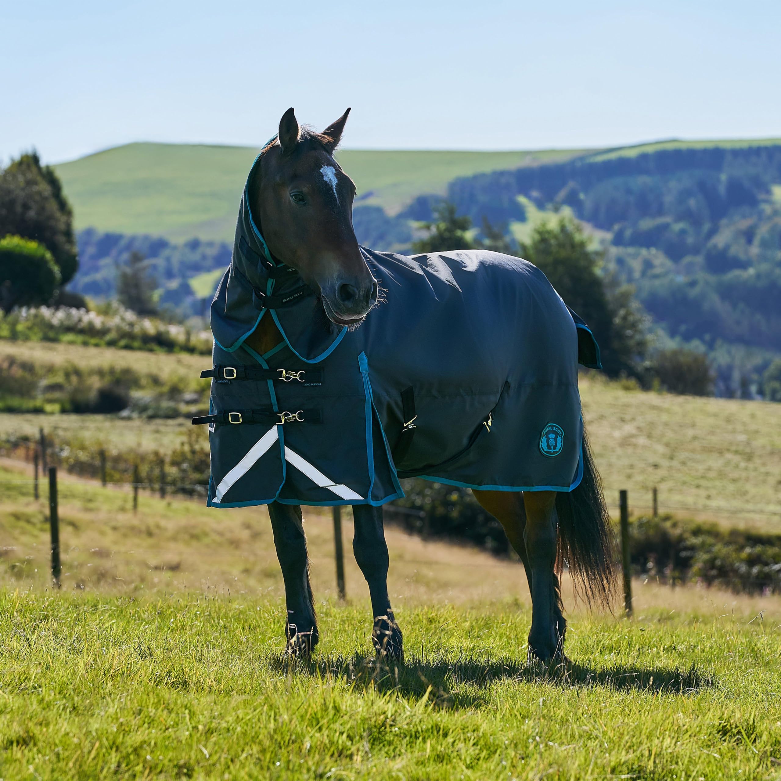 Royal Scot Original Turnout Rug, 600D Waterproof, 200g Polyfill, Combo Neck Design with Side Gussets, Reflective Details, Cross Surcingles for Horses (Black/Ocean, 6'3)