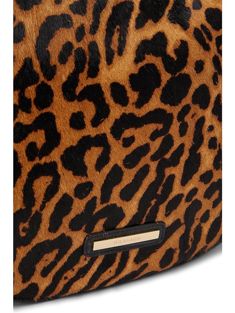 Black Brahmin Small Kathleen