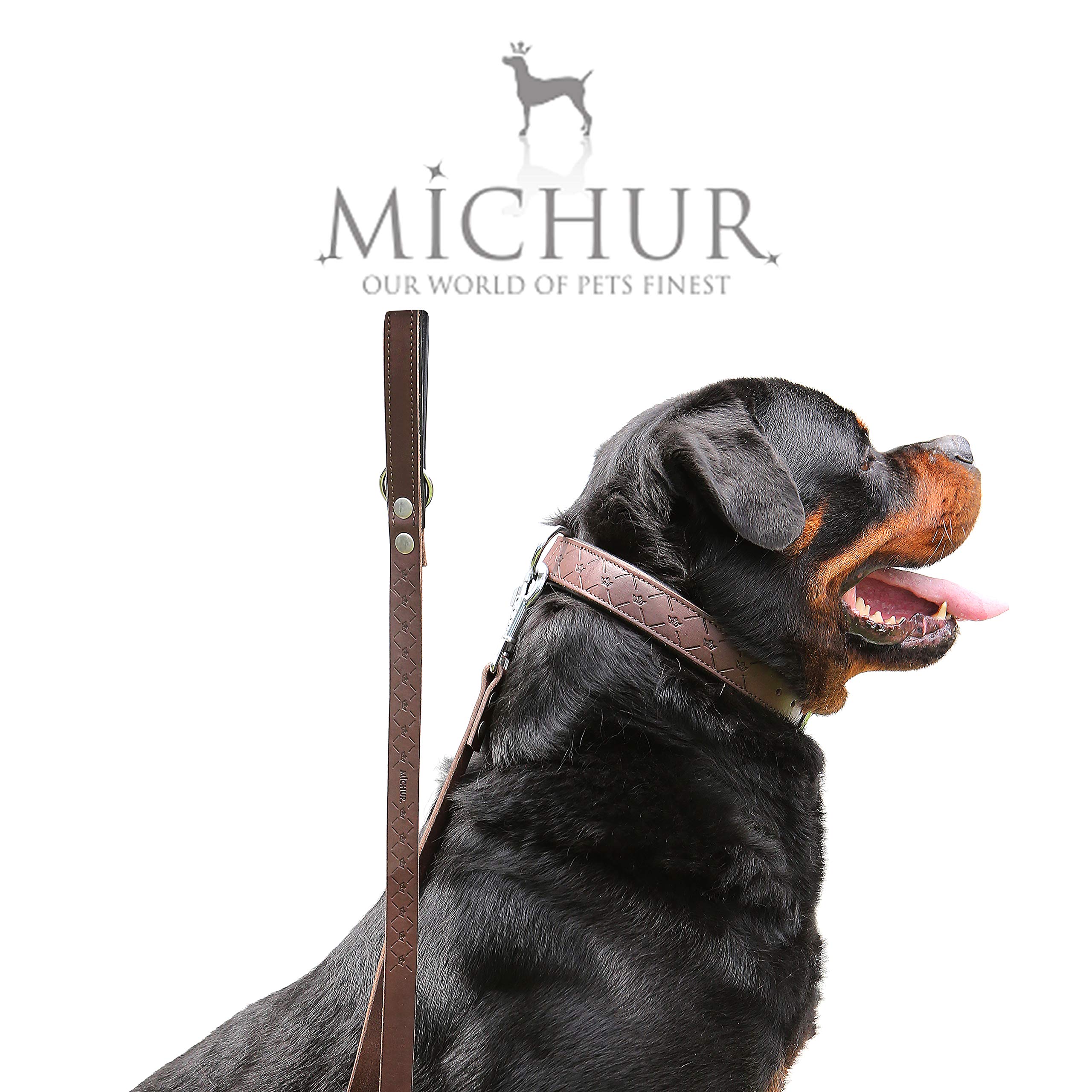 MICHUR Design Hundehalsband Leder, Lederhalsband Hund, Halsband, Braun, Leder, in verschiedenen Größen erhältlich