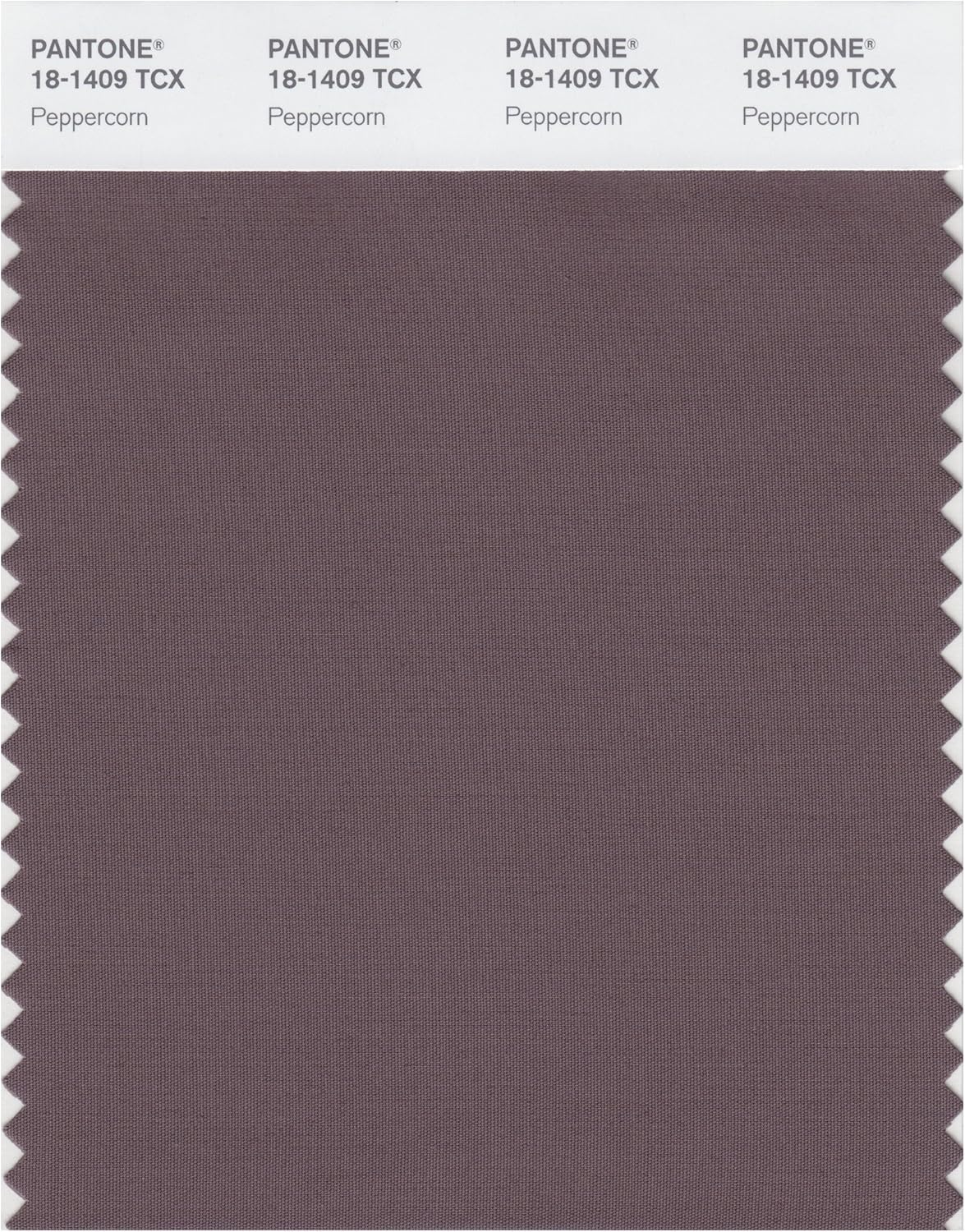 Ecru LIL' ATELIER Vest NBFLAMAI LS KNIT CARD