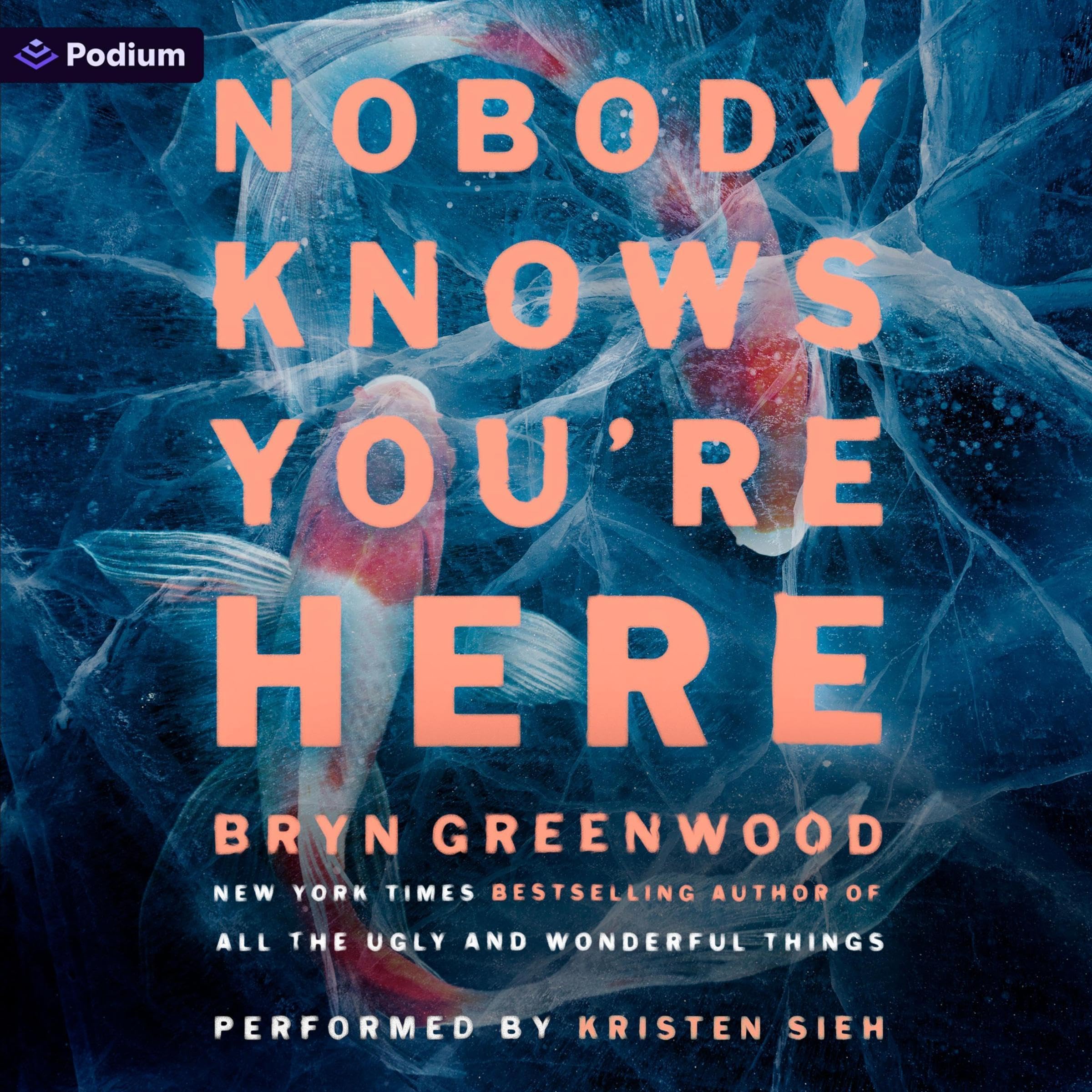 Nobody Knows You're Here: A Psychological Suspense Thriller