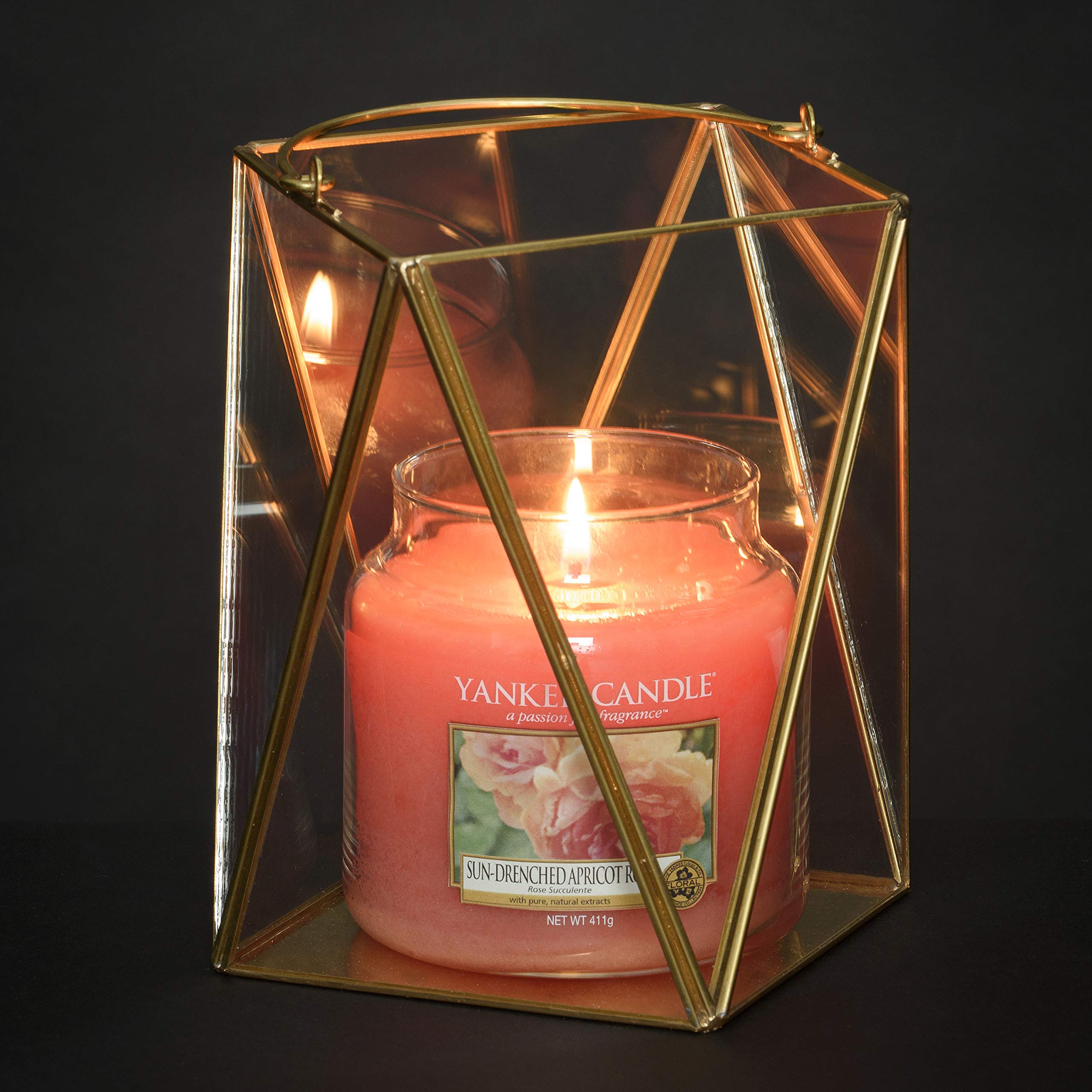 Yankee Candle Duftkerze im Glas (mittelgroß) | Sun-Drenched Apricot Rose | Brenndauer bis zu 75 Stunden