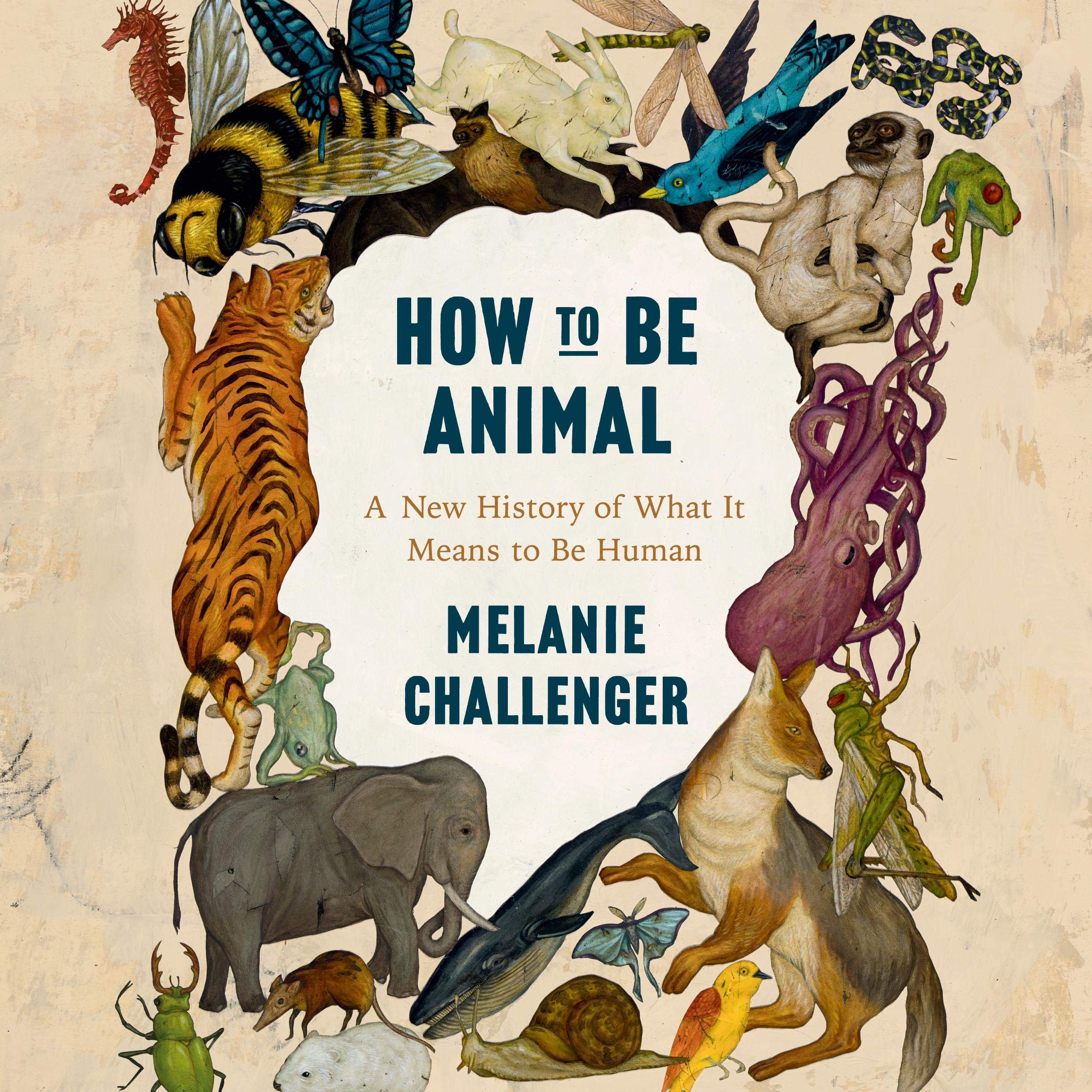 Cover art for How to be Animal