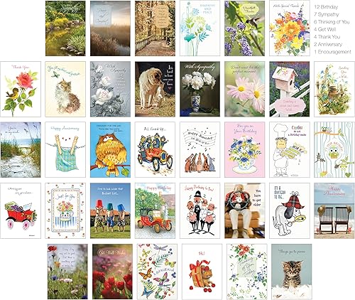 SHADE TREE GREETINGS Fravessi - Paquete variado de tarjetas de felicitación surtidas, paquete de 36 tarjetas + 36 sobres blancos