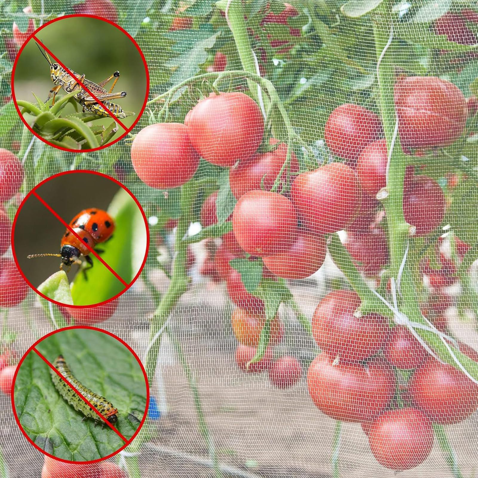 Malla De Red Para Plantas Barrera transpirable para animales