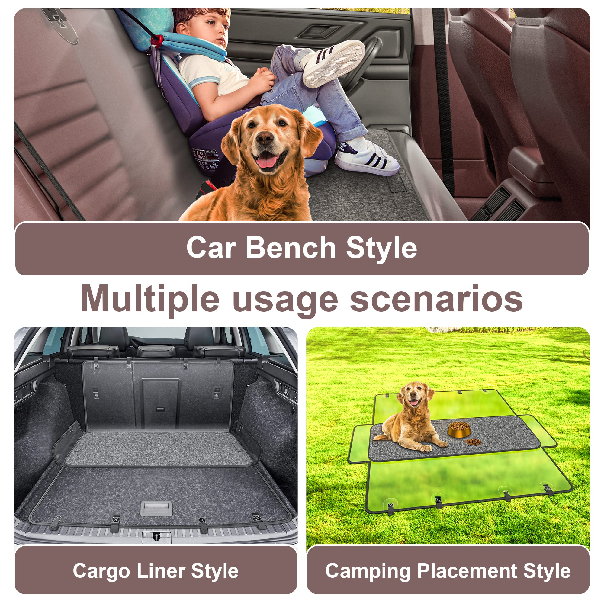 Why Do Dogs Like Their Lower Back Scratched