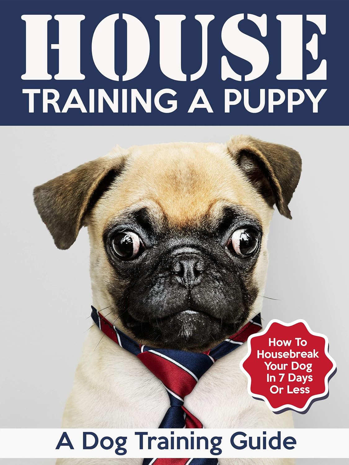 House Training A Puppy A Dog Training Guide How To Housebreak Your