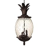 Acclaim 7516BC Lanai Collection 3-Light Outdoor Light Fixture Hanging Lantern, Black Coral