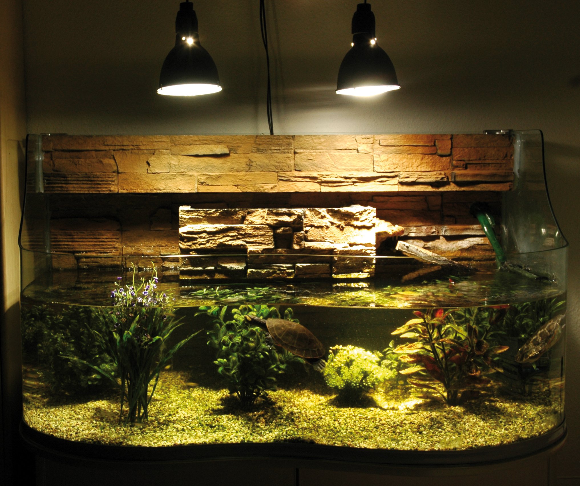 Lucky Reptile Bright Sun Turtle (100 Watt) für Wasserschildkröten
