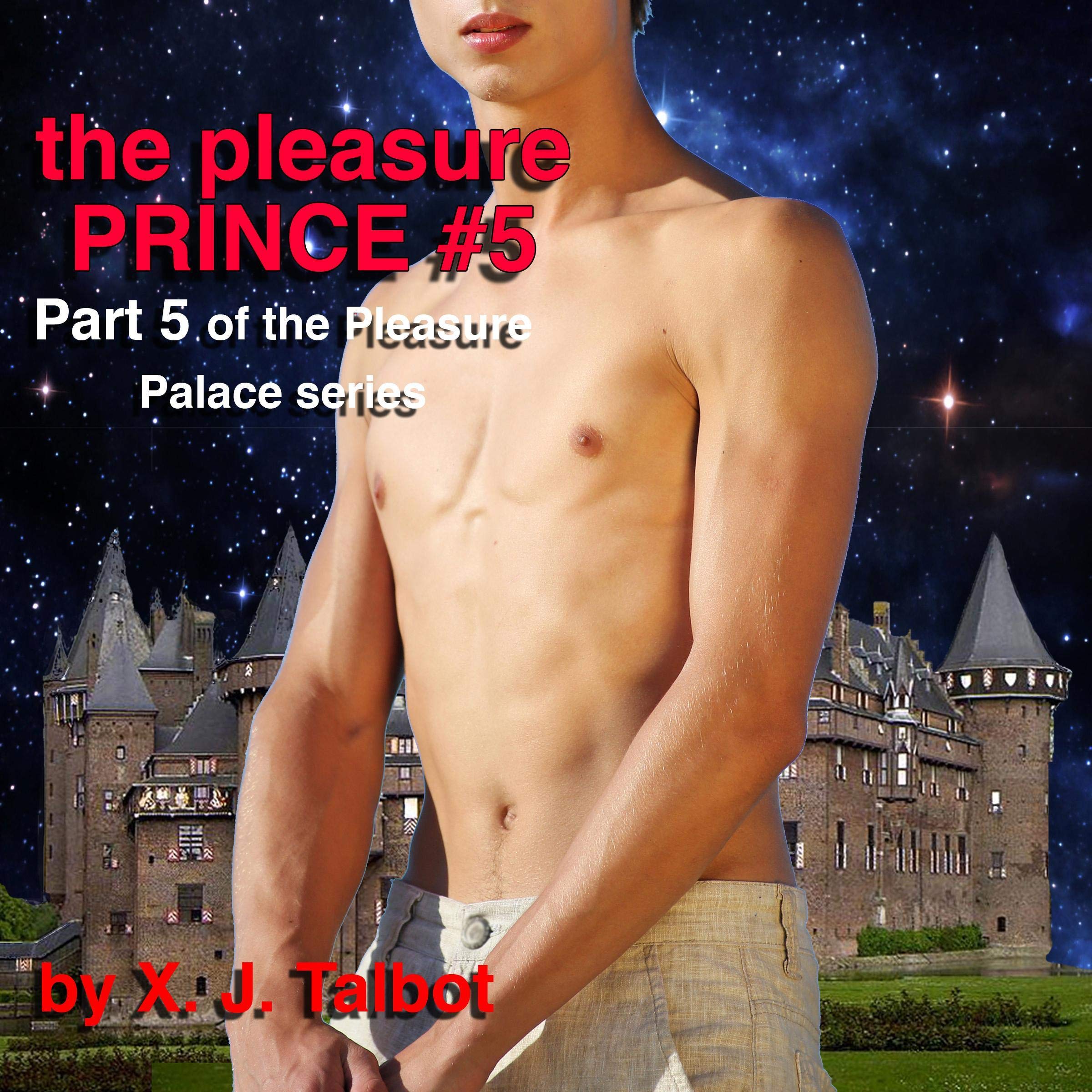 Cover art for The Pleasure Prince - Arron's Story