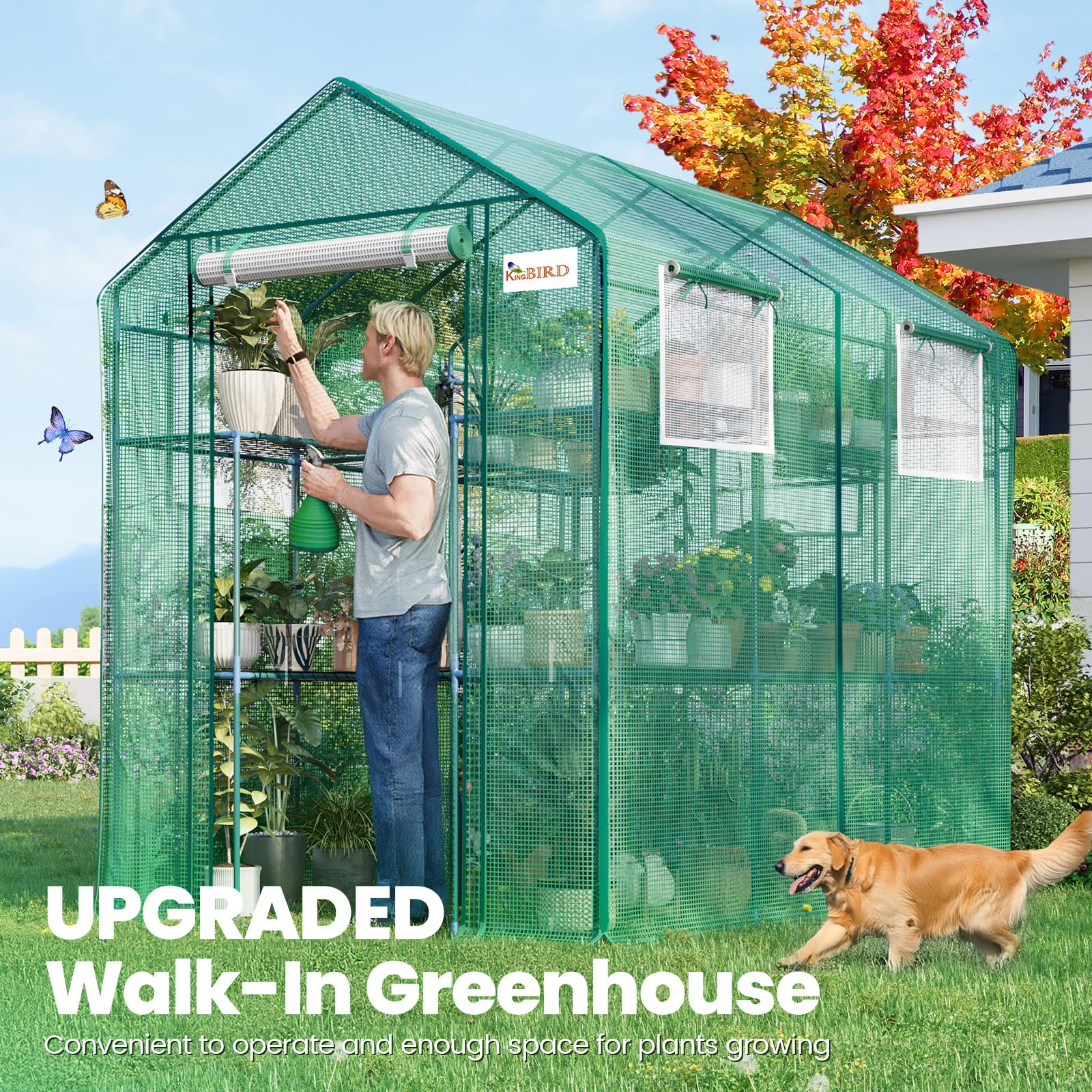 Amazon.com : KING BIRD Premium Greenhouse for Outdoors, 84 x 56 x