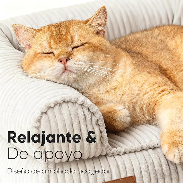Foto 2 de 8 de FUKUMARU Cama para Gatos, Sofá Cómodo de Terciopelo para Gatos de Interior con Funda Desmontable y Lavable