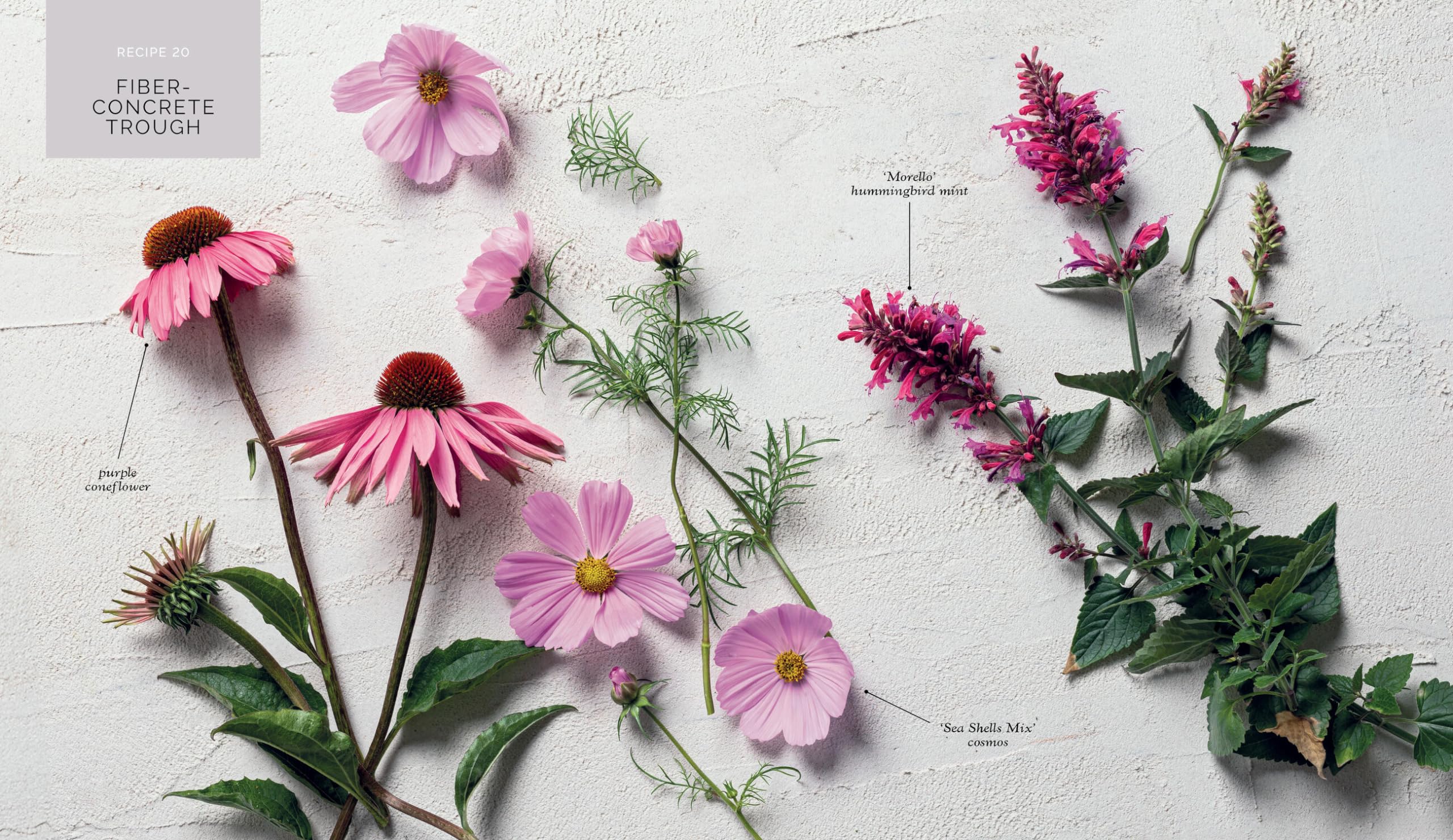 The Container Garden Recipe Book: 57 Designs for Pots, Window Boxes, Hanging Baskets, and More