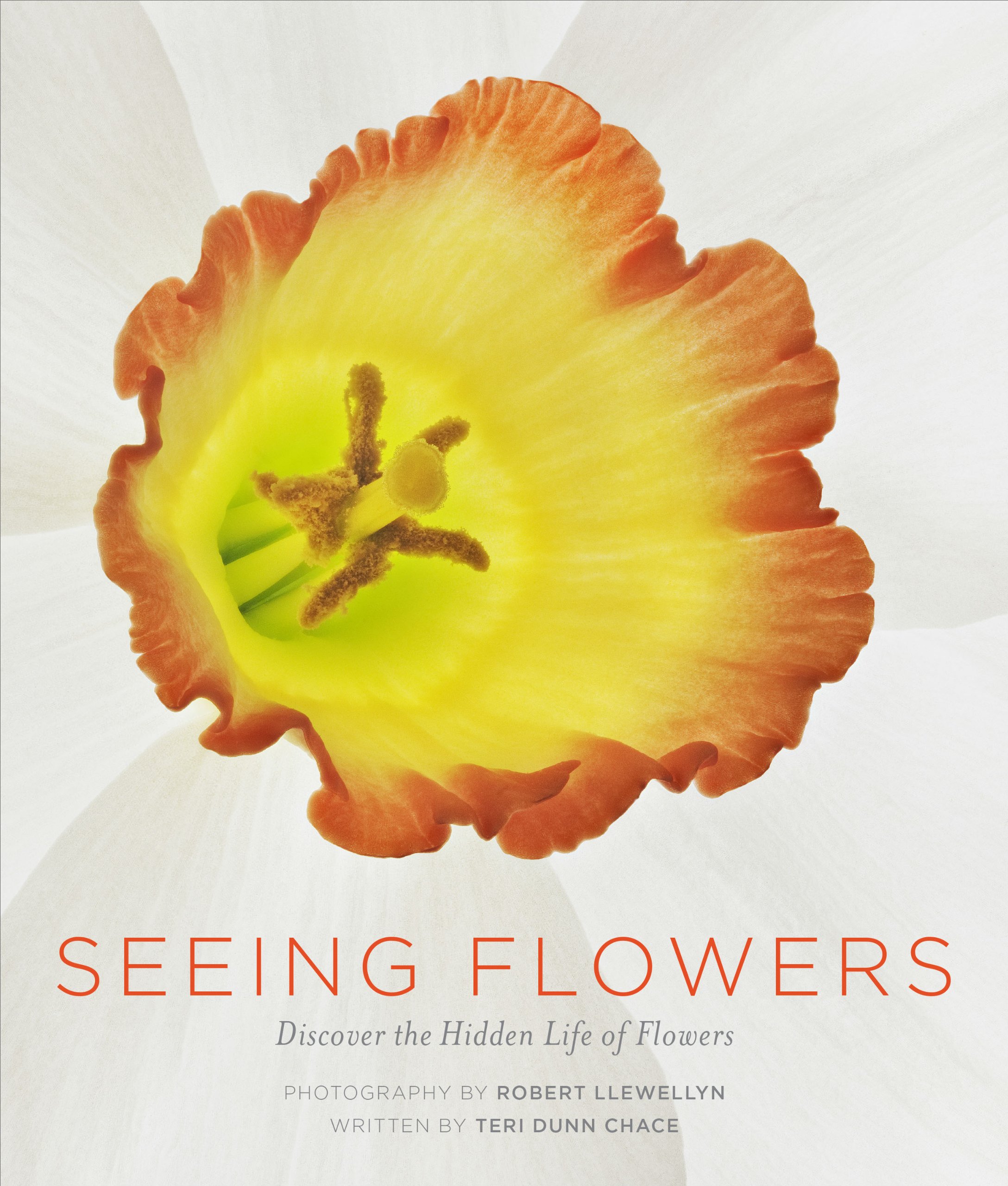 Seeing Flowers: Discover the Hidden Life of Flowers (Seeing Series) Hardcover – September 24, 2013