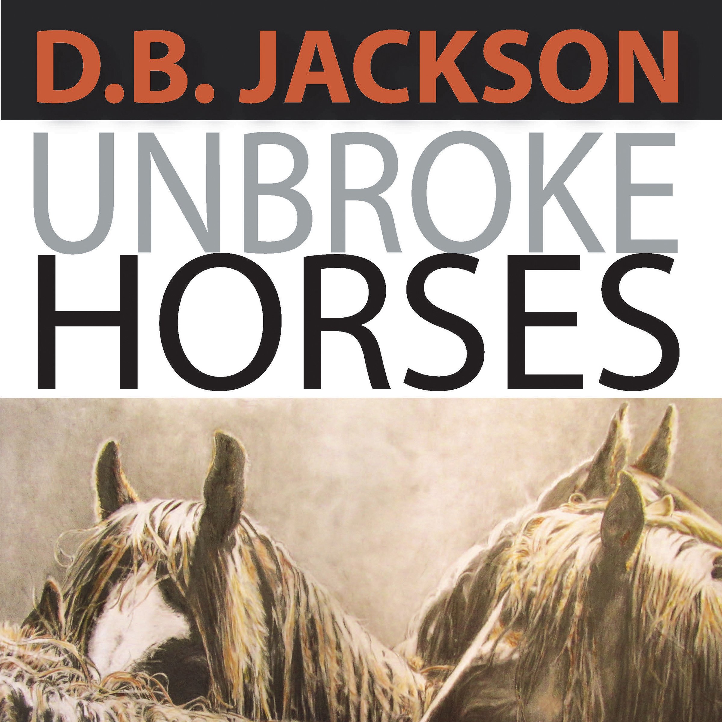 Cover art for Unbroke Horses