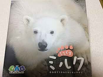 メ*6様 しろくま　写真集　ガオ　GAO　ミルク　男鹿水族館　本　BOOK　ホッ メ*6様 しろくま 写真集 ガオ GAO ミルク 男鹿水族館 本 BOOK