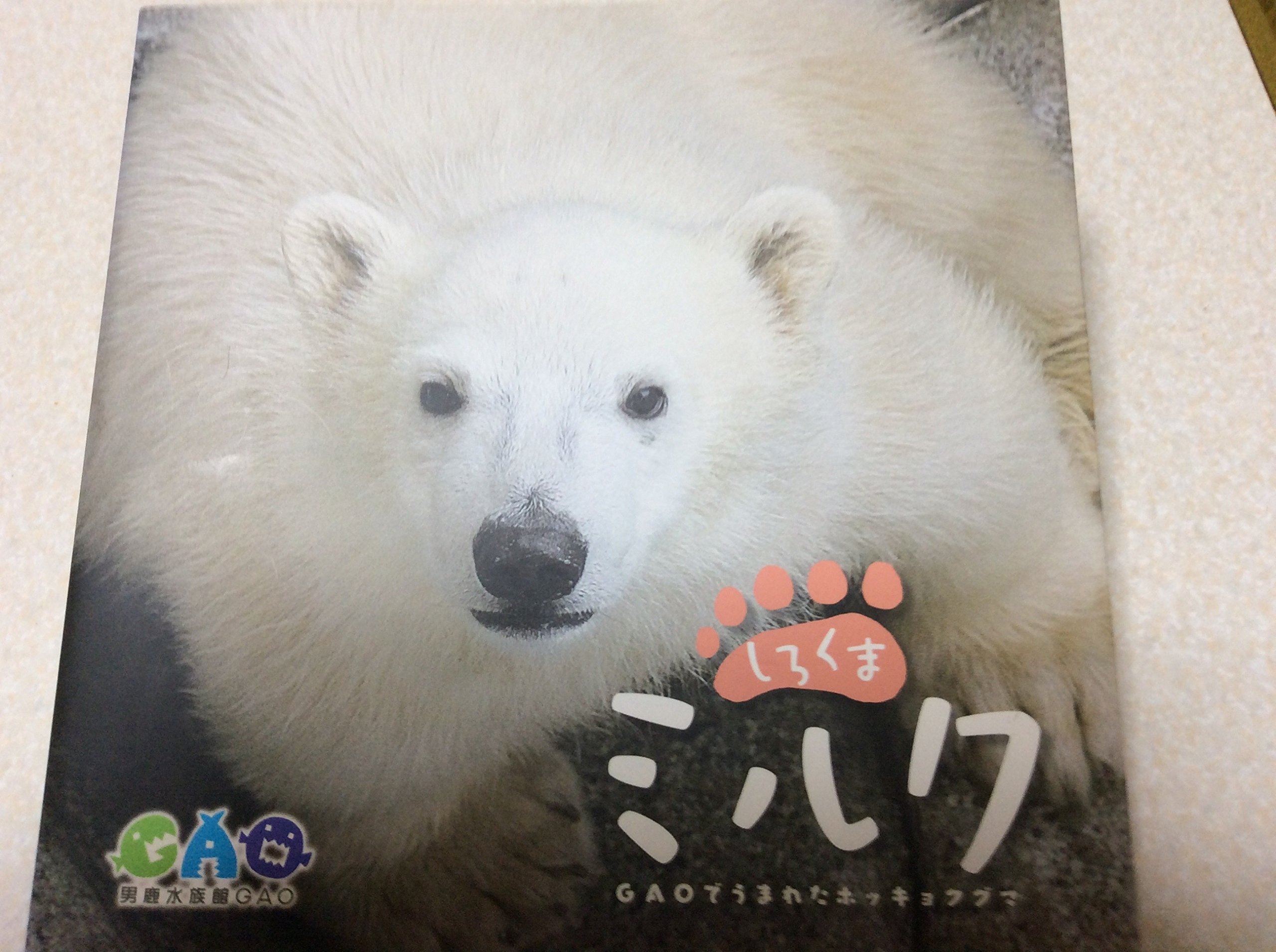 しろくまミルク Gaoでうまれたホッキョクグマ 本 通販 Amazon