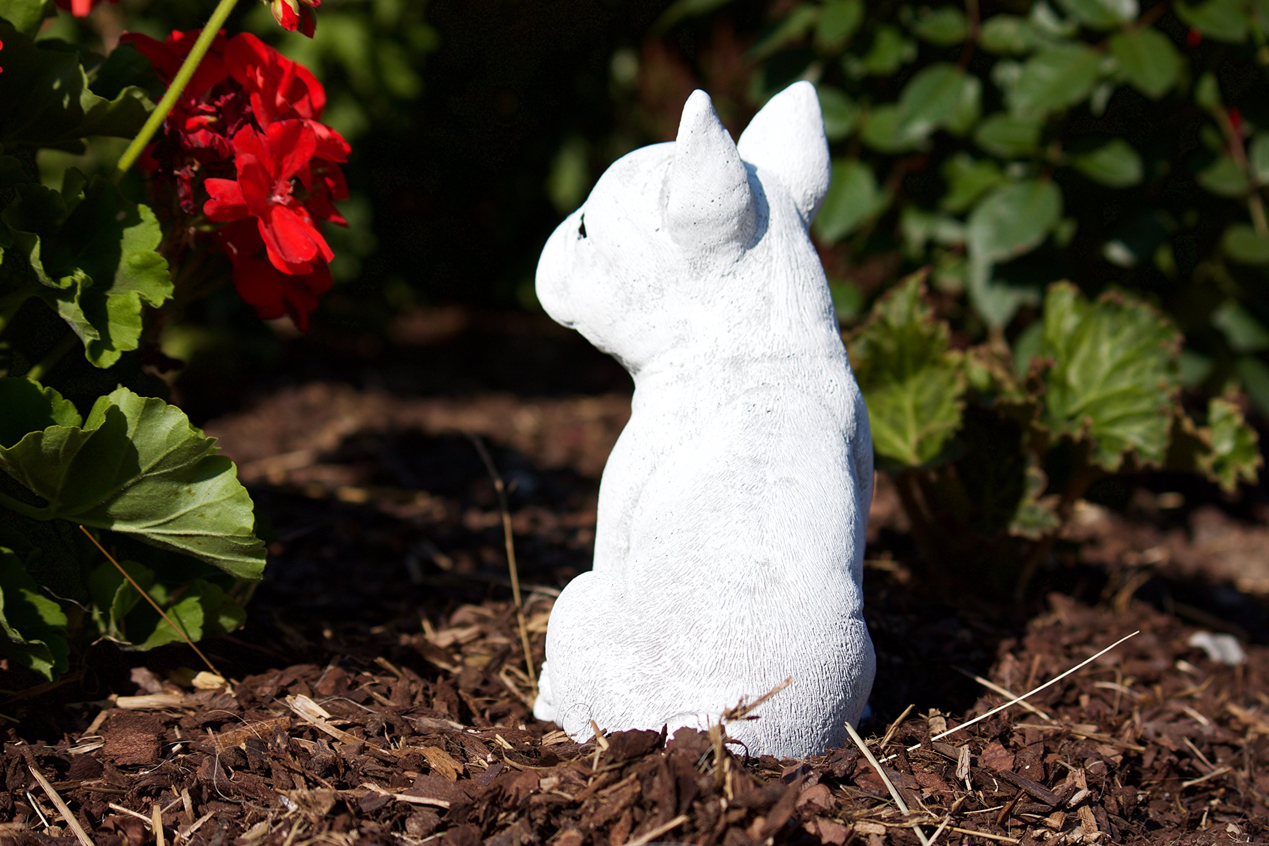 Stoneandstyle Steinfigur Frenchie - Schwarze Französische Bulldogge, Frostfest, Made In Germany
