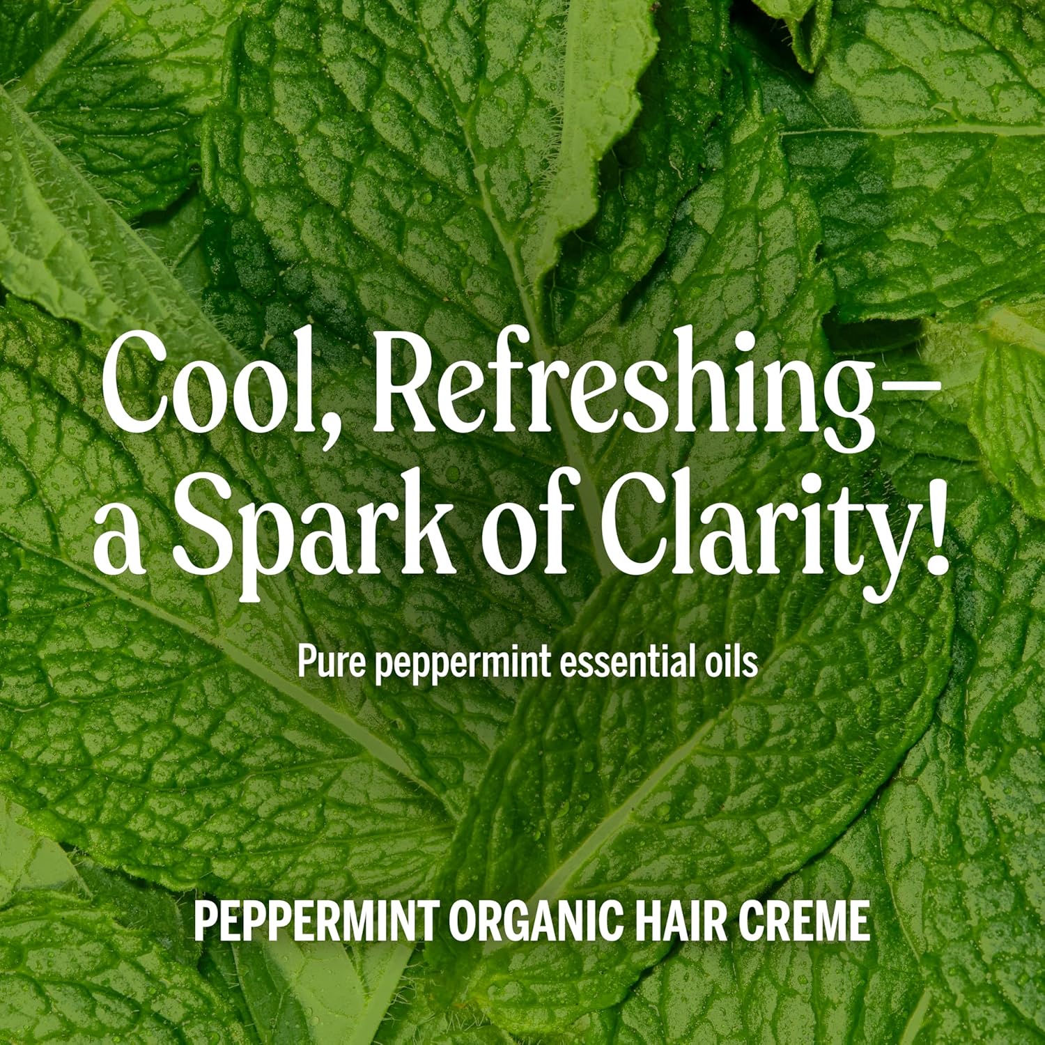 Dr. Bronner's - Organic Hair Crème (Peppermint, 6 Ounce, 2-Pack) - Leave-In Conditioner and Styling Cream, Made with Organic Oils, Hair Cream Supports Shine and Strength, Nourishes Scalp, Non-GMO